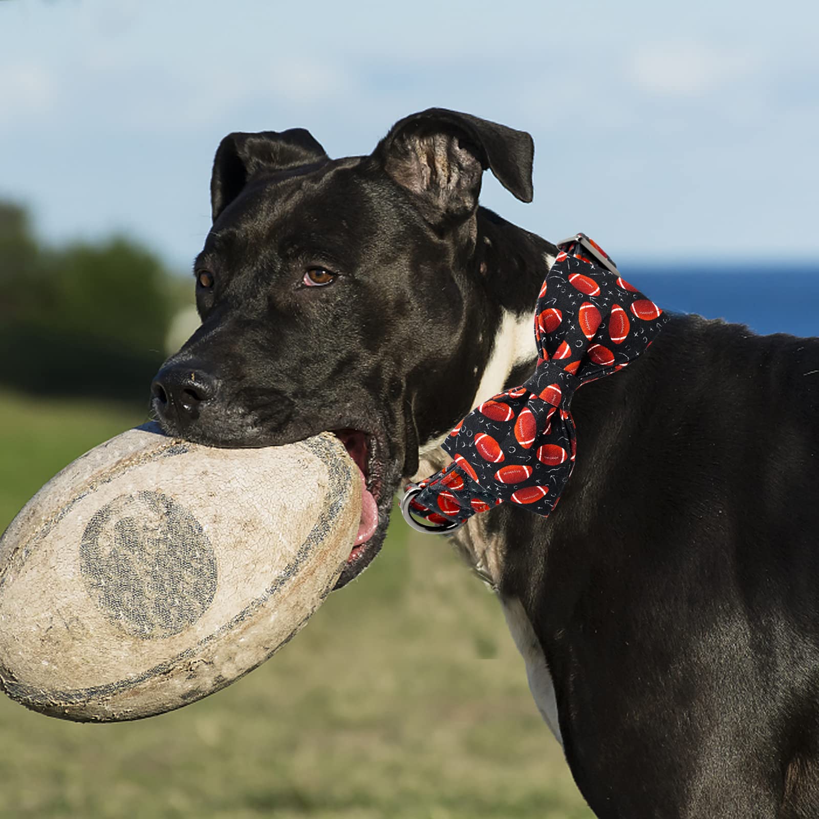 Lionheart Glory Dog Collar Bowtie - Adjustable Cotton Bow For X-Large Dogs