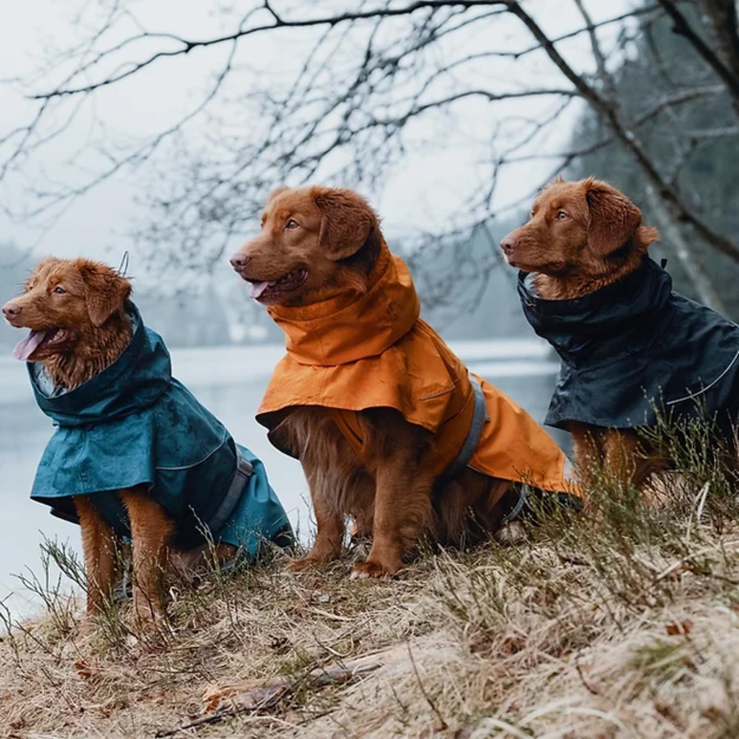 Hurtta Monsoon Coat, Dog Raincoat, Blackberry, 16 In