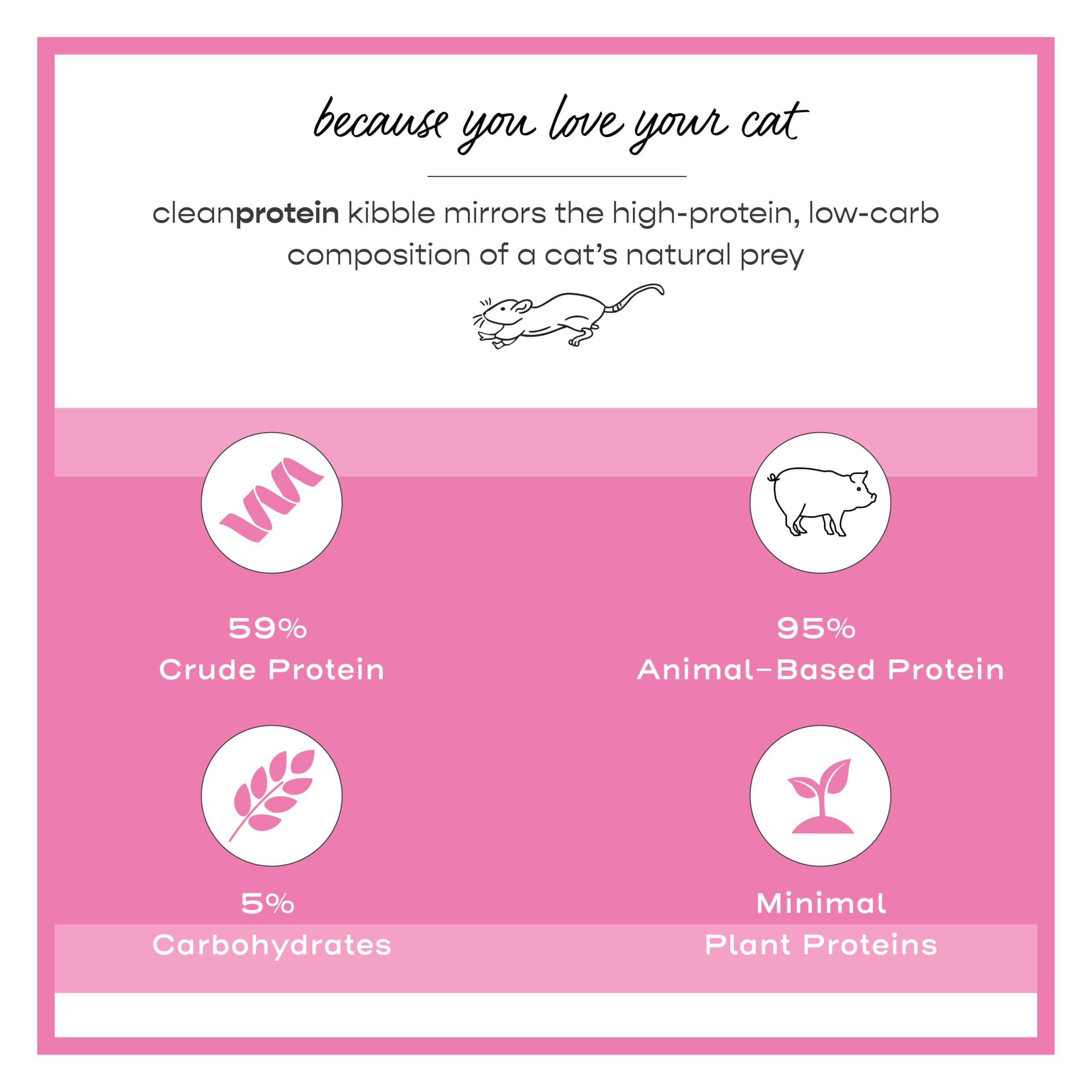 Dr. Elseys cleanprotein Pork Cat Kibble 6.6lb. Bag