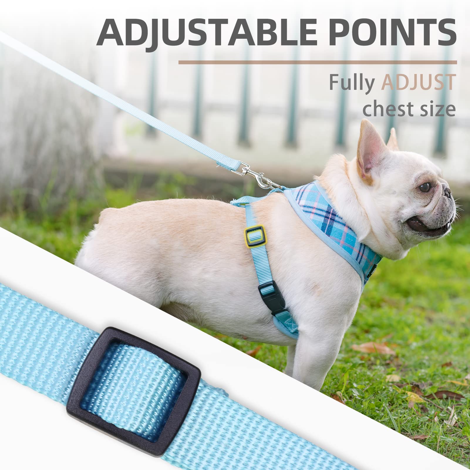 Pupteck Soft Mesh Dog Harness And Leash Set Pet Puppy Cat Comfort Padded Vest No Pull Harnesses, Light Blue, L