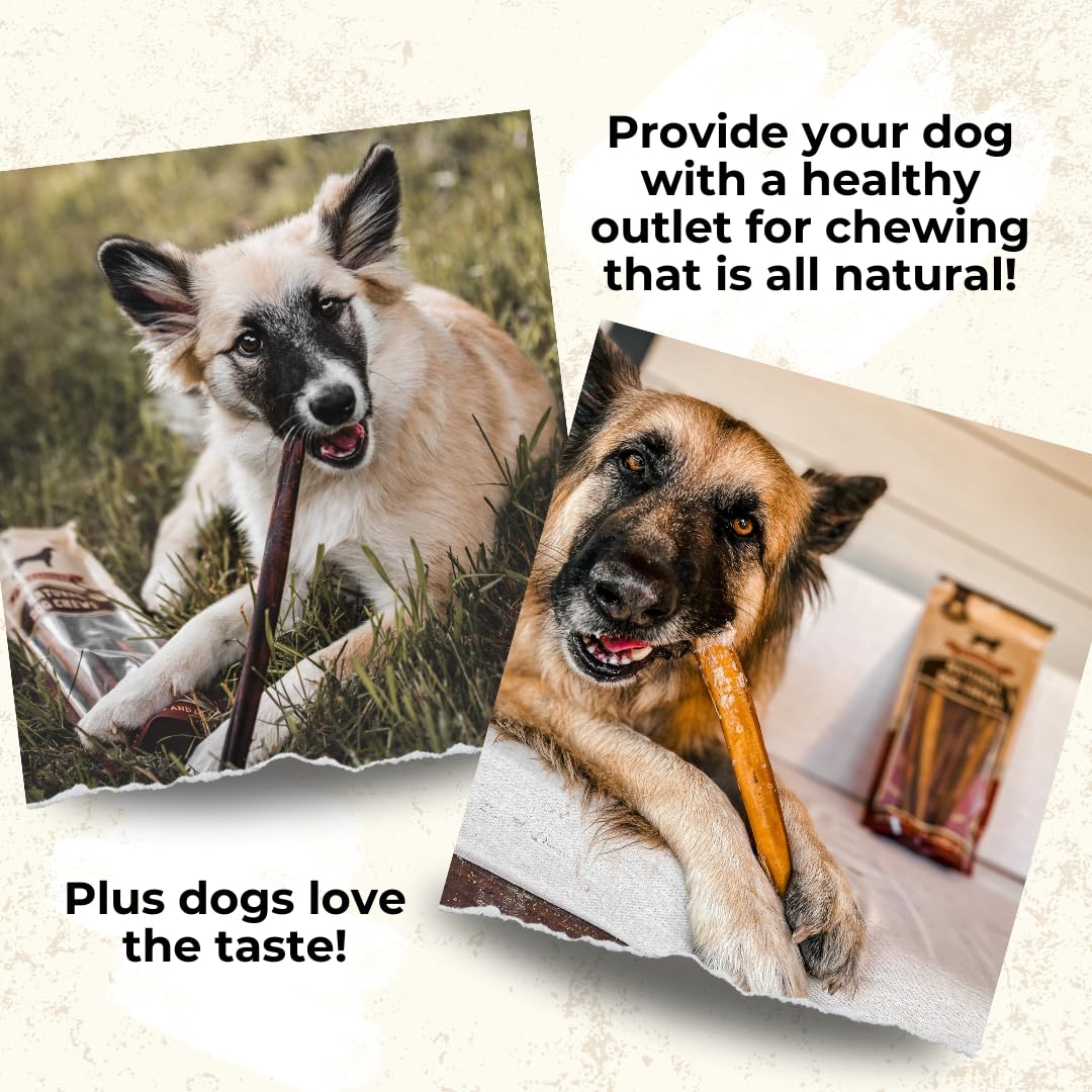 Bully Bunches Premium 6 Inch Standard Odor-Free Bully Sticks for Small to Medium Dogs & Puppies - Long Lasting Chews for Oral Ca