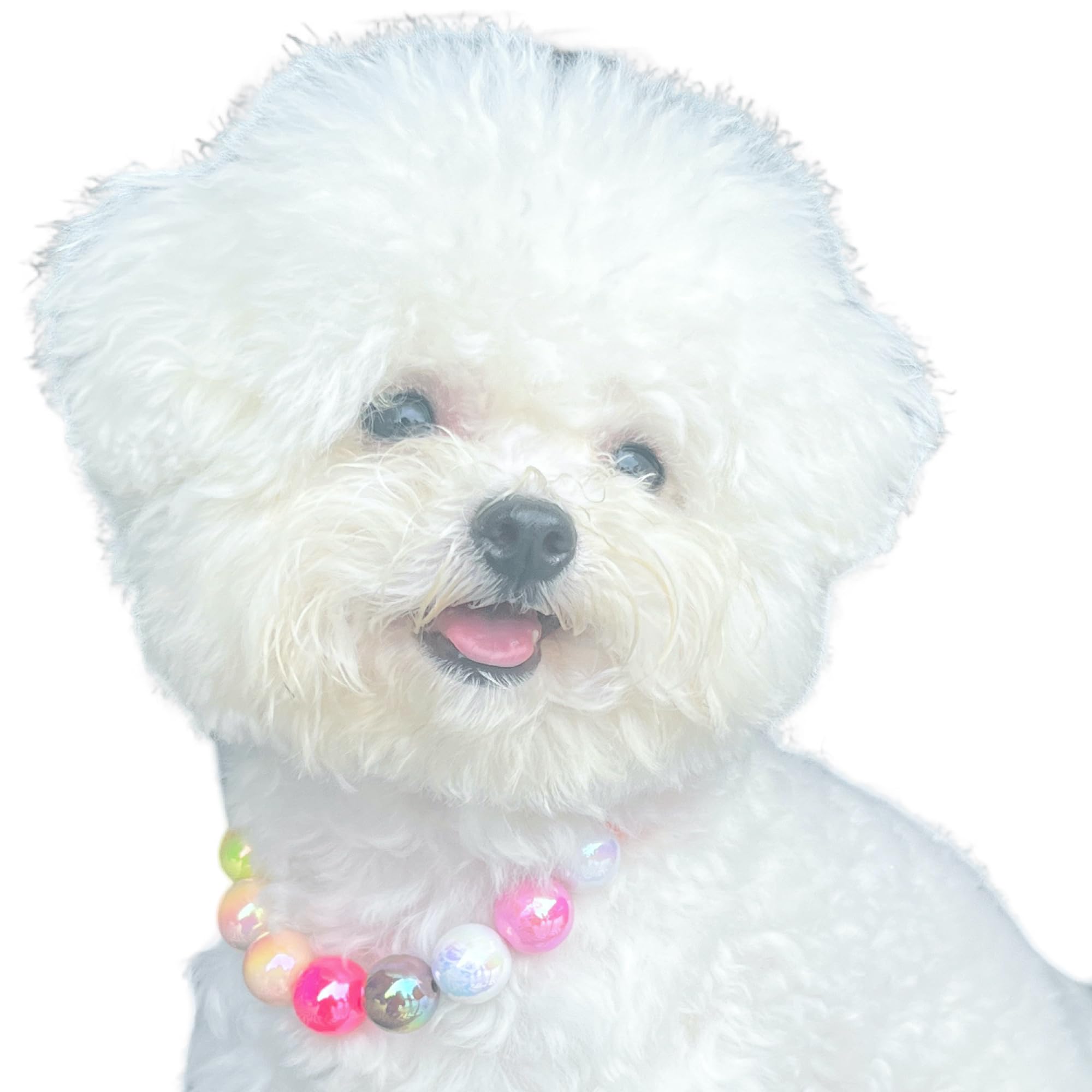 Kepudengen Dogs Necklace,Pet Fashion Necklace, Colorful Beaded Necklace,Pet Jewelry,Vibrant Candy-Colored Pet Jewelry Necklace F