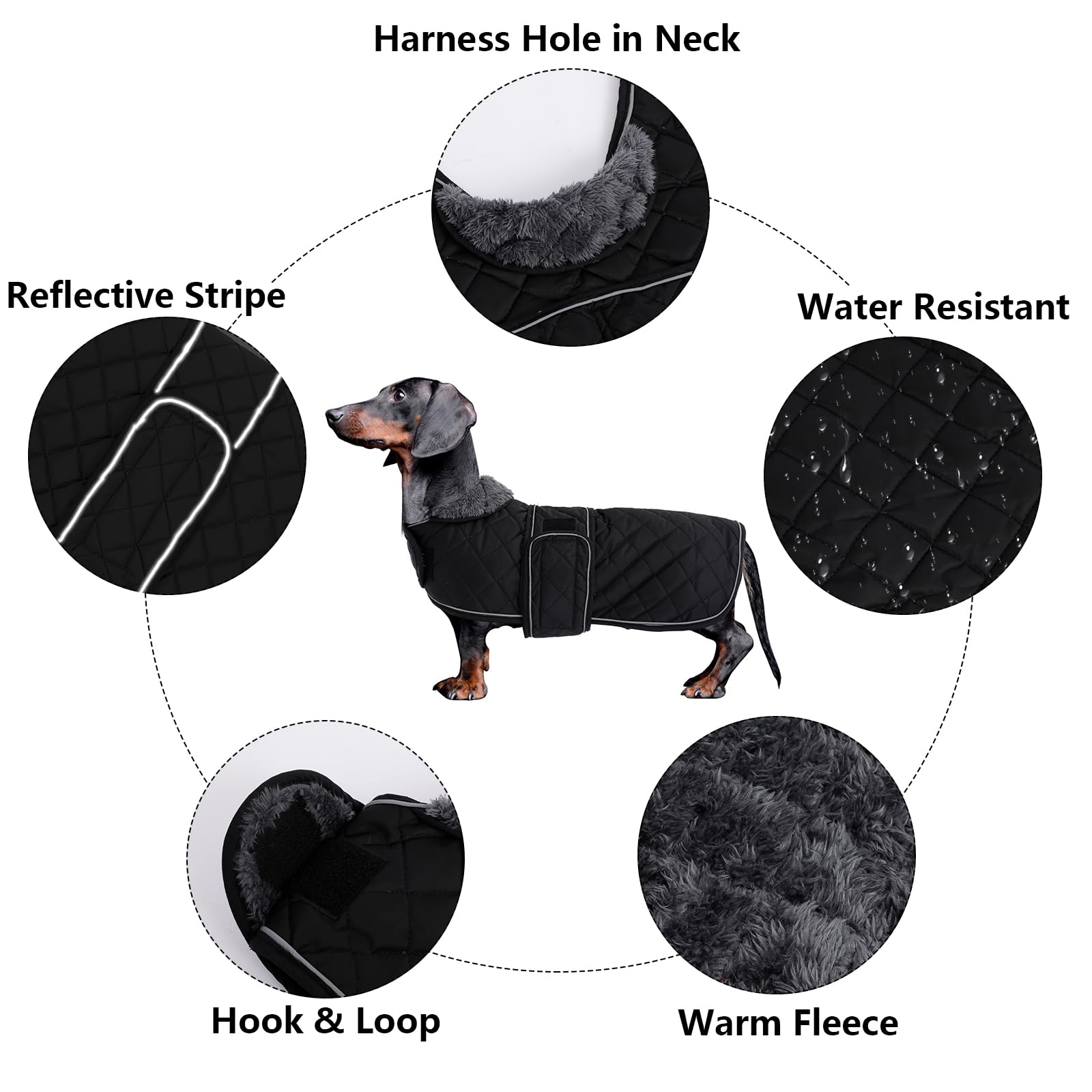 Morezi Dachshund Coats, Dachshund Coat, Coat For Dachshund, Dog Winter Coat With Padded Fleece Lining, Outdoor Dog Apparel With Adjustable Bands - Navy - Xs