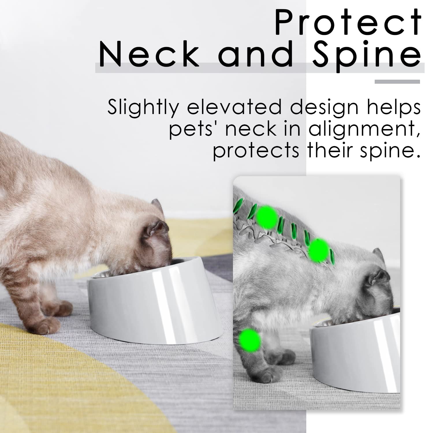 SuperDesign Mess Free 15 Slanted Bowl for Dogs and Cats, Tilted Angle Bulldog Bowl Dog Feeder, Non-Skid & Non-Spill, Easier to R