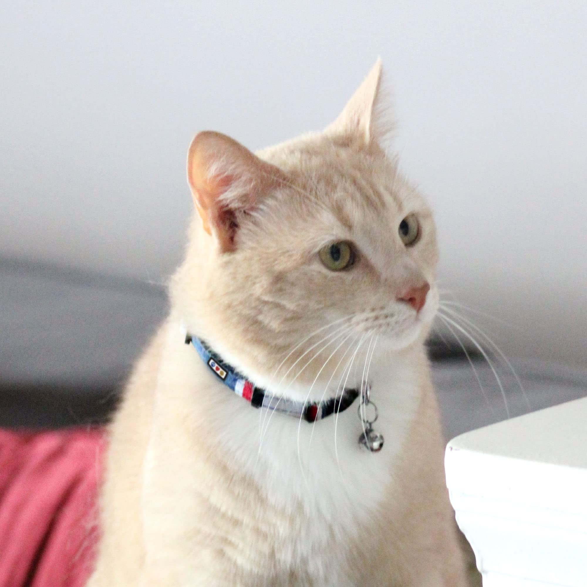 Pawtitas Pet Multicolor Cat Collar With Safety Buckle And Removable Bell Cat Collar Kitten Collar Blue/White/Yellow/Teal Cat Collar