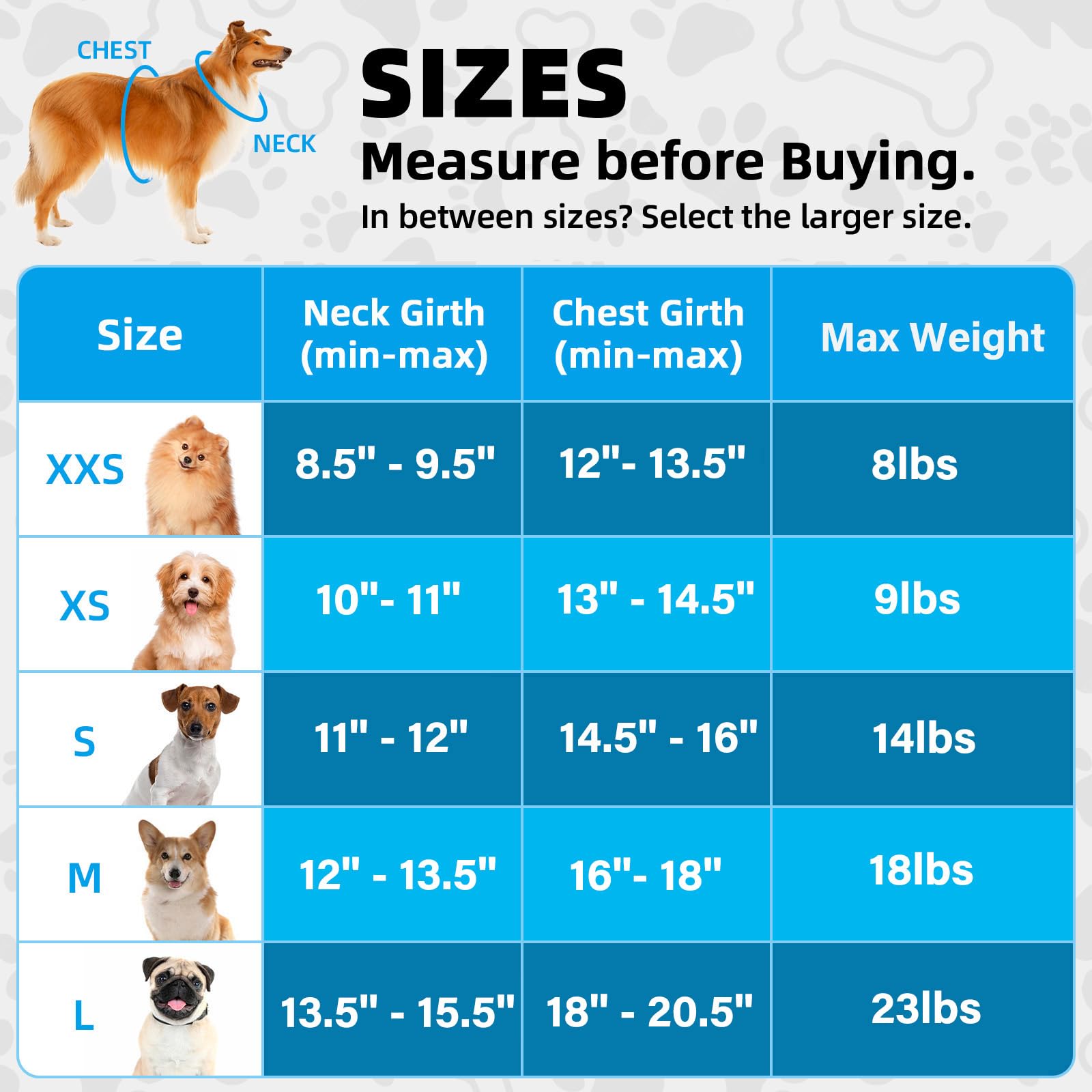 Hipubby Dog Harness And Leash Set, No Pull Soft Mesh Pet Harness For Small Medium Dogs, Cats - Step In Adjustable Reflective Pup
