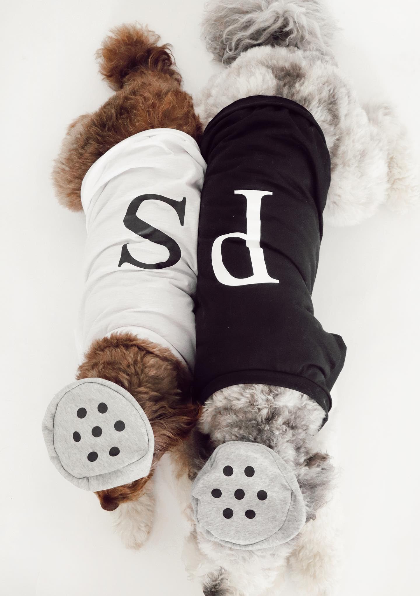 Midlee Salt & Pepper Dog Costume (Salt, X-Large)