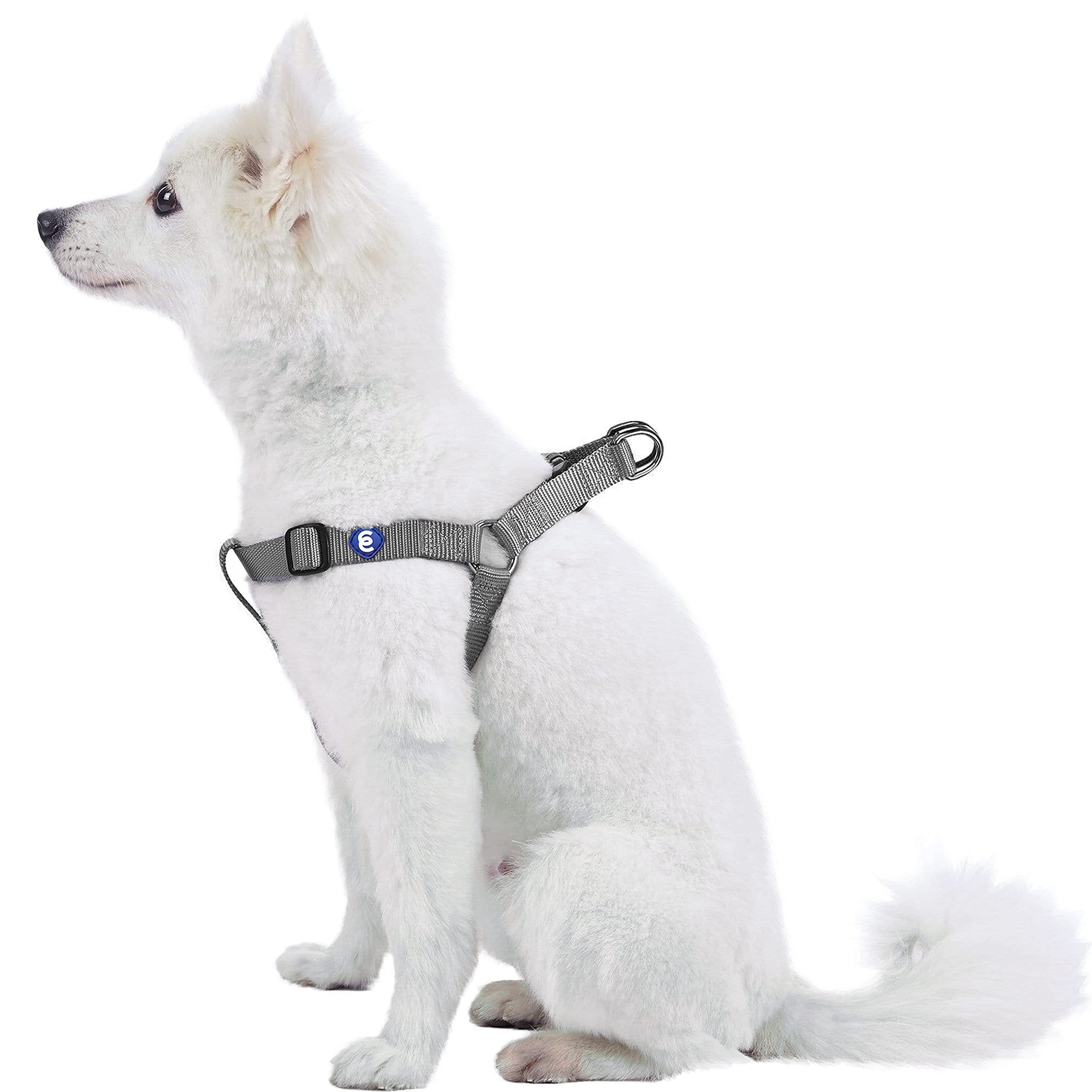 Blueberry Pet Essentials Classic Durable Solid Nylon Step-In Dog Harness, Chest Girth 26' - 39', Flint Gray, Large, Adjustable Harnesses For Puppy Boy Girl Dogs