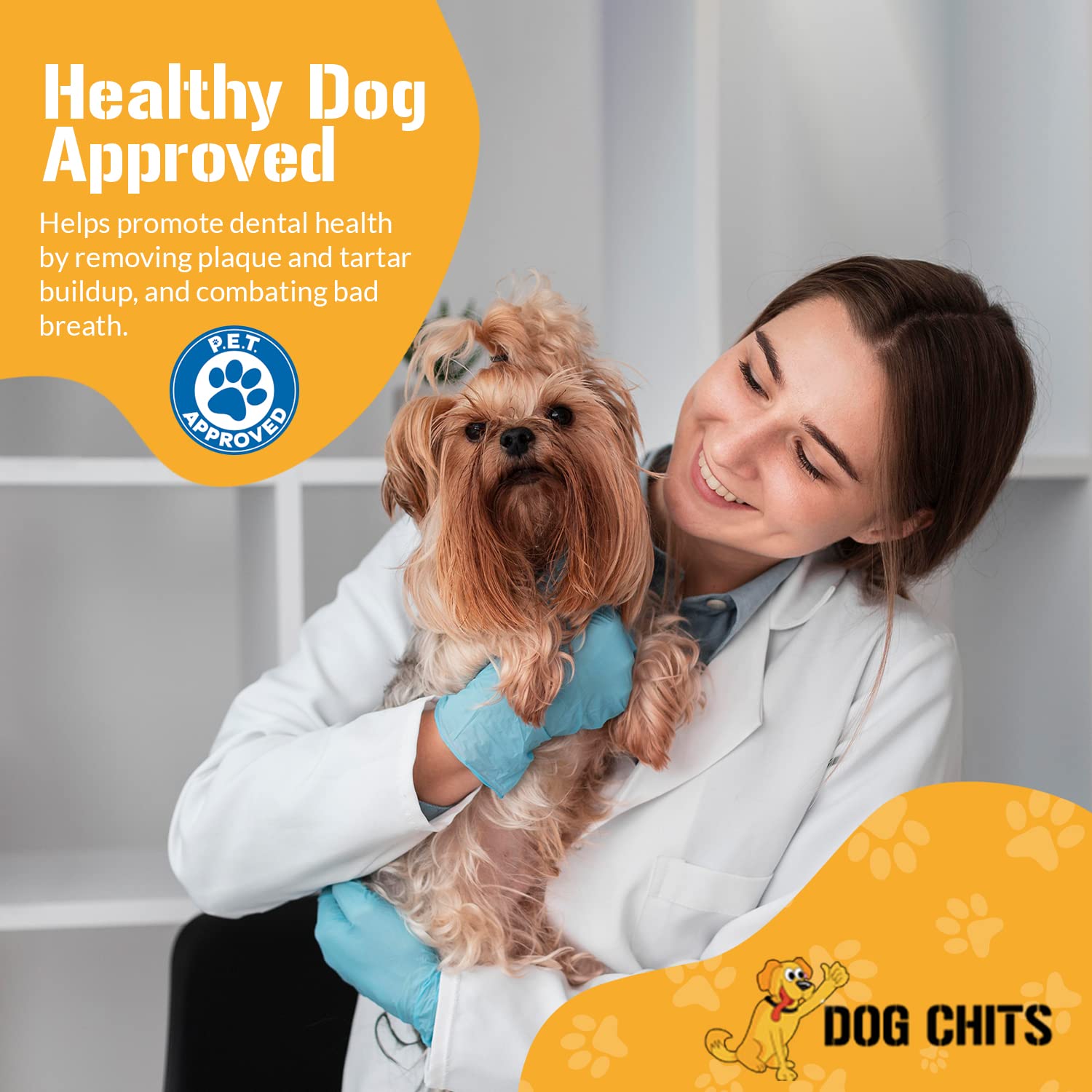 Dog Chits Bully Sticks for Dogs and Puppies | 6-inch, 20 Pack | Natural Healthy Long Lasting Chew for Large and Small Dogs Prote