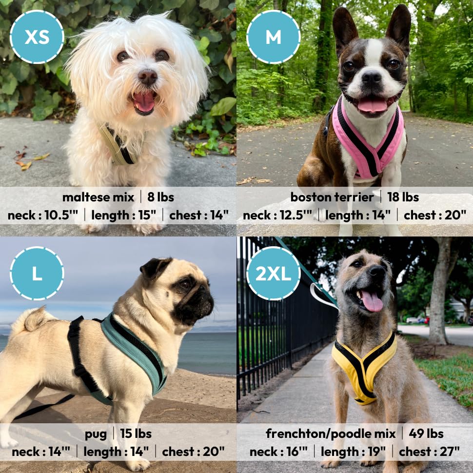Gooby Comfort X One Dog Harness - Head-In Dog Harness For Small & Medium Sized Dogs - Escape-Free & Choke Free - Breathable Mesh, Shock Absorbing, Easy Snap & Swivel Buckles - Flamingo Pink, Small