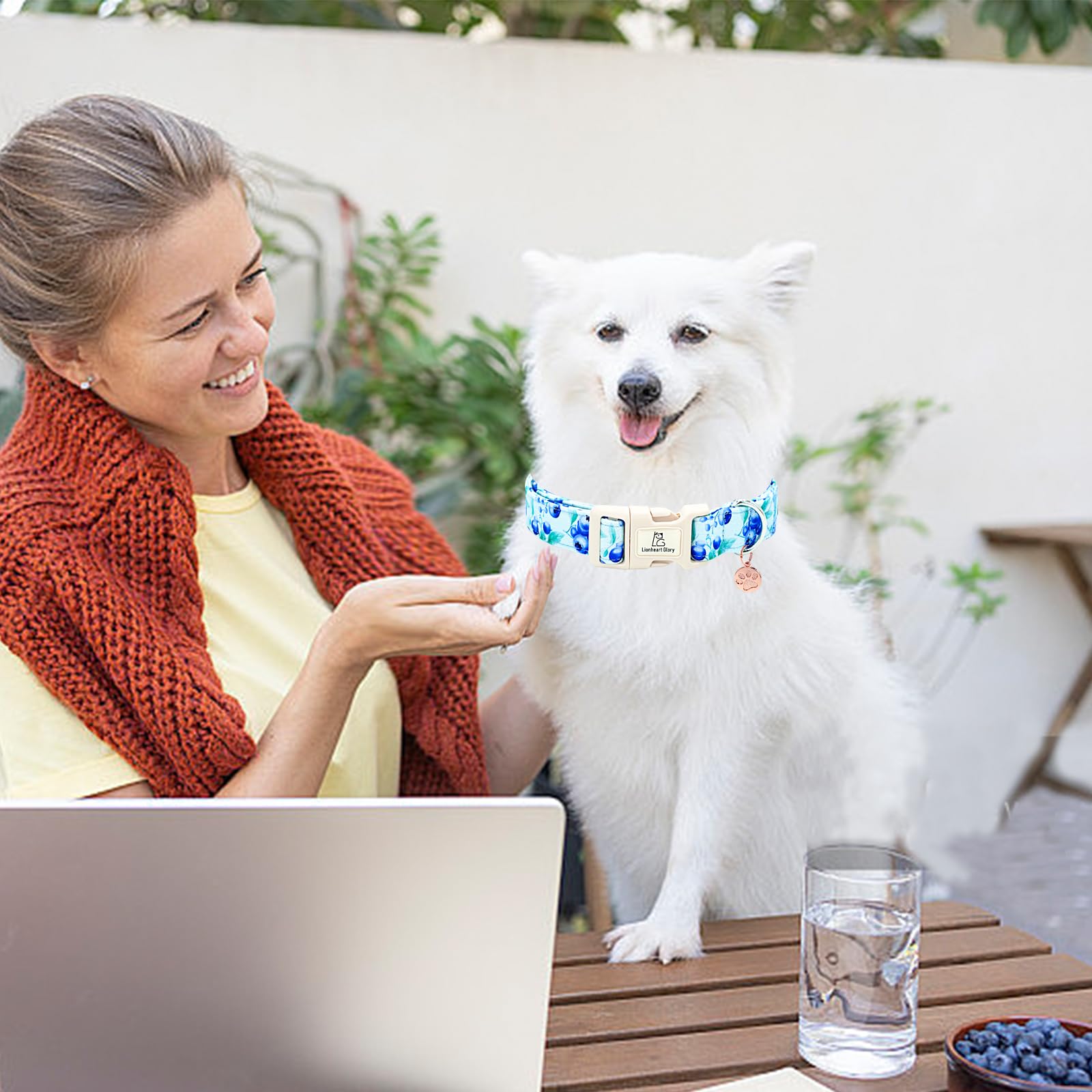 Lionheart Glory Dog Collar Blueberries Print Collar For Small Dogs Spring Summer Female Or Male Collars Pets Gift Adjustable Hea