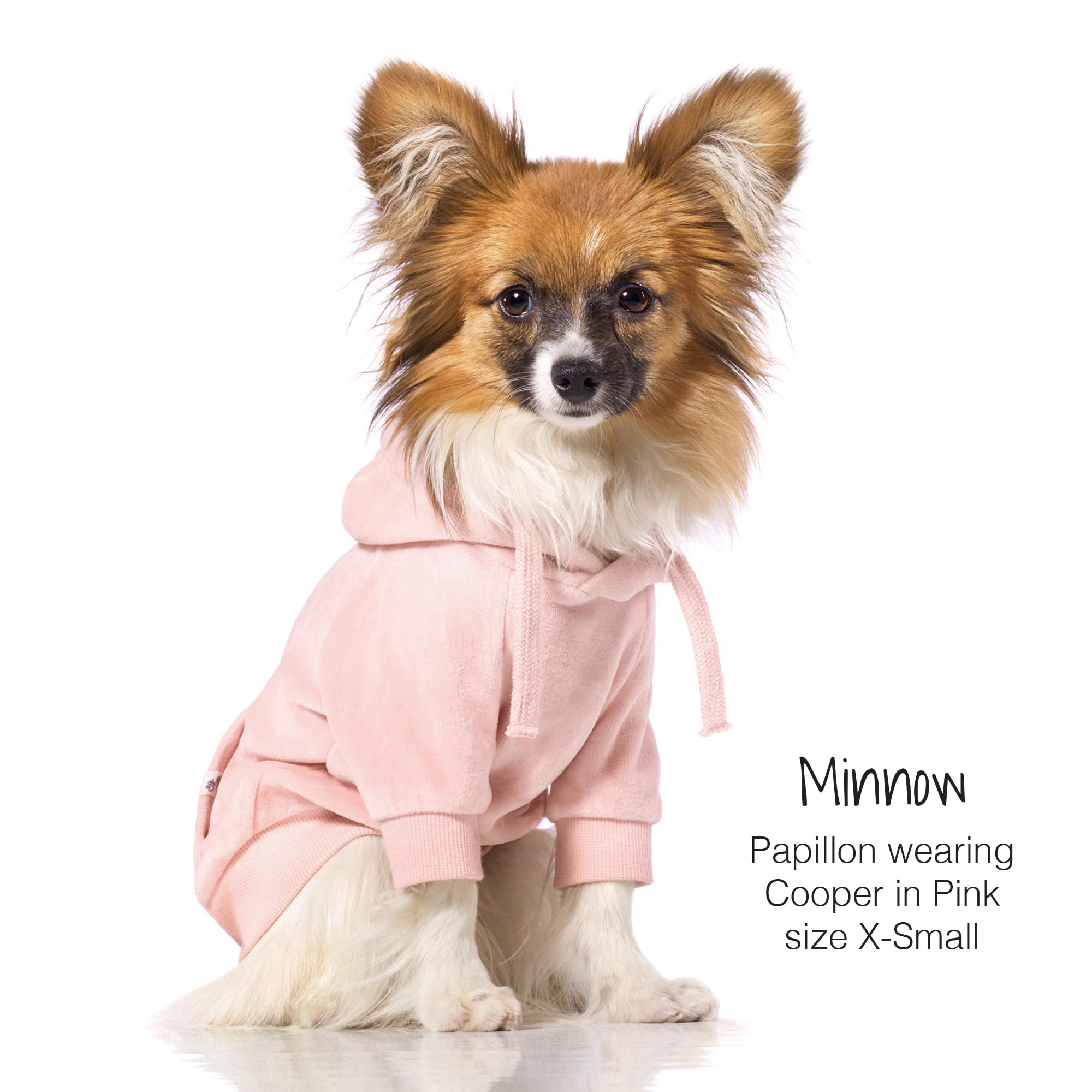 Pet Passion Organic Cotton Velour Dog Hoodie Pet Coat For Small, Medium And Large Dogs, Pink, Xx-Small