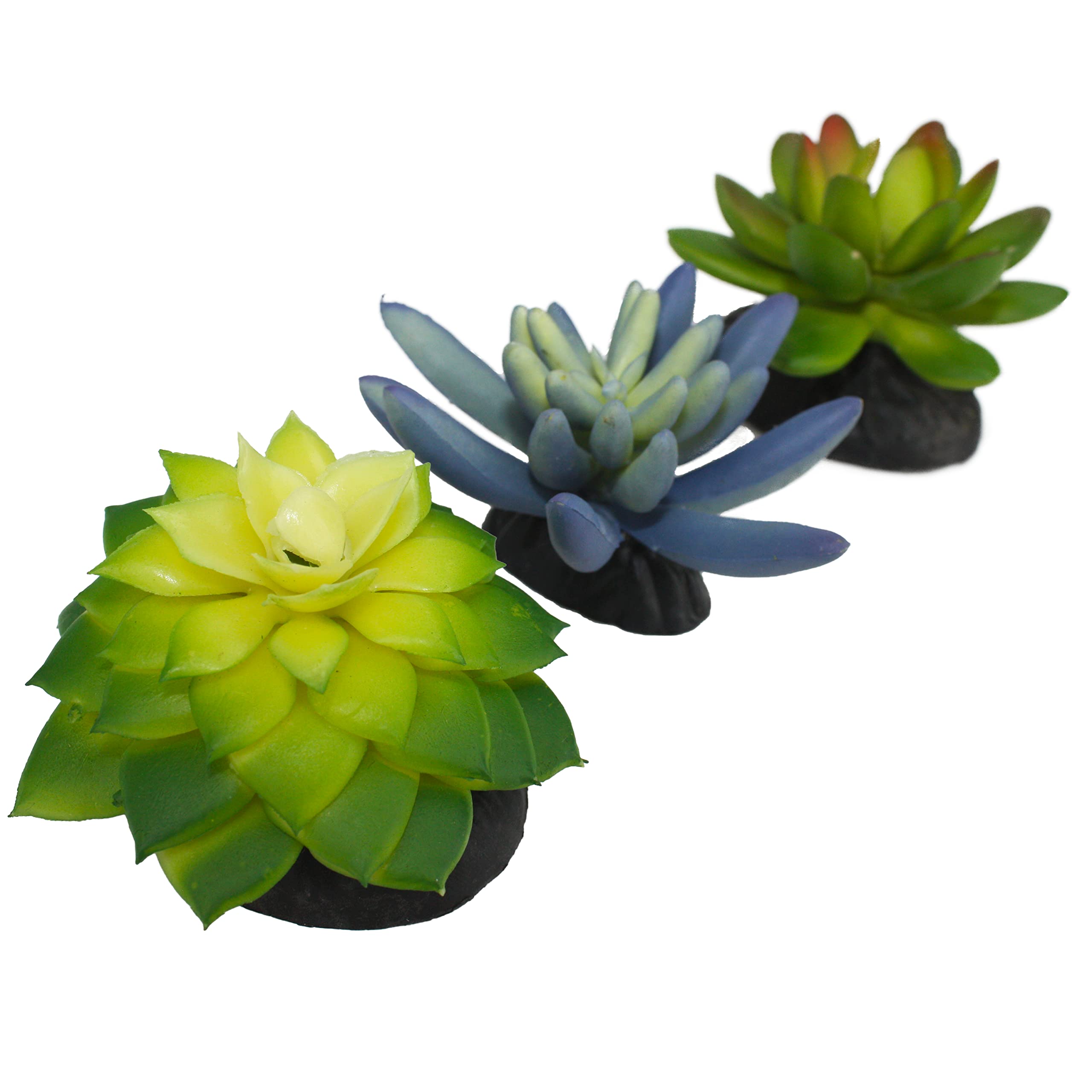 Komodo Reptile Terrarium Succulent 3Pk Blue/Green Plants | Natural Looking Artificial Aquarium Ornament & Habitat Decoration Acc