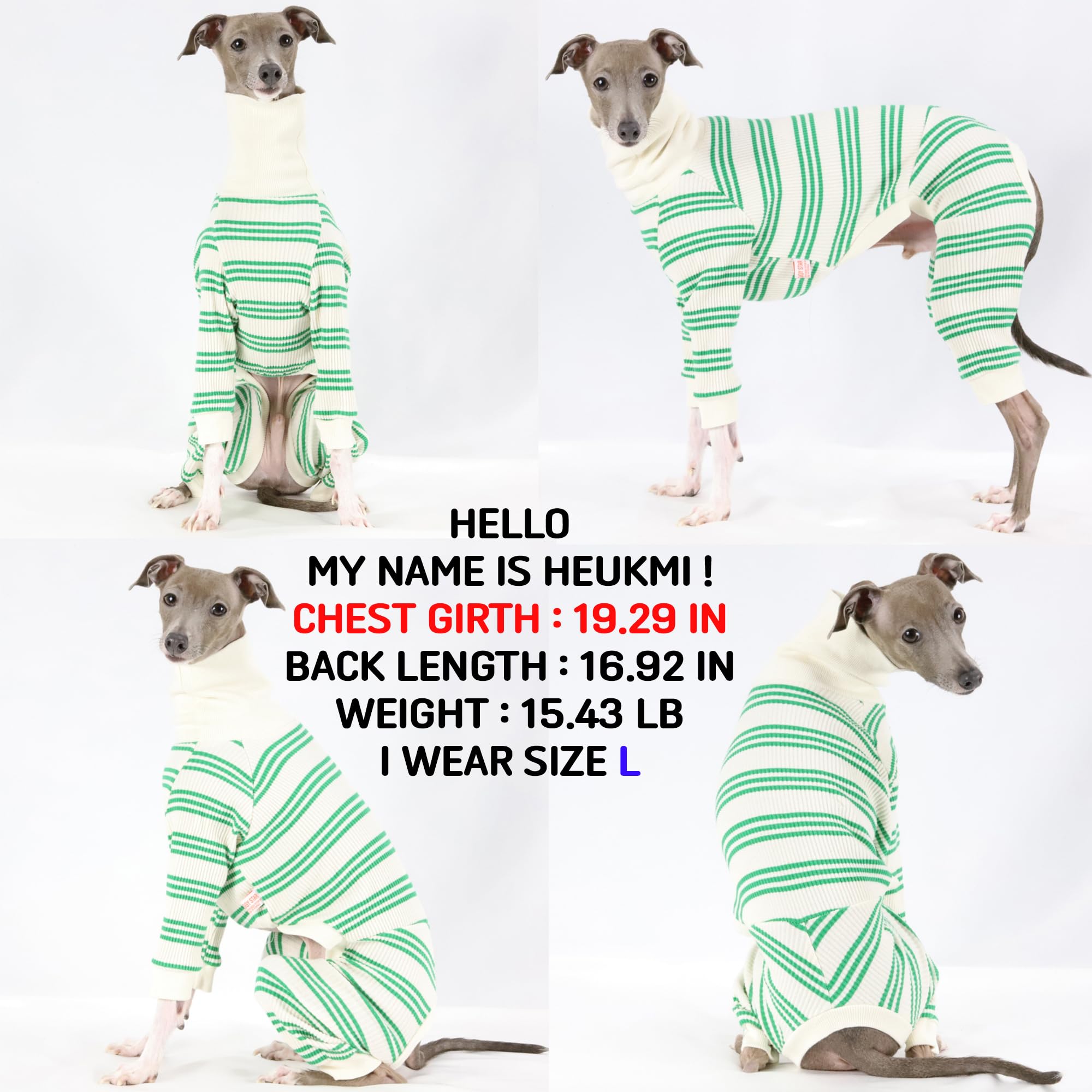 D Doggy Star Italian Greyhound Clothes Soft Stretchy Onesie Refined Stripe Outfit Whippet For Dog Coat (L,Onsi Green Str)