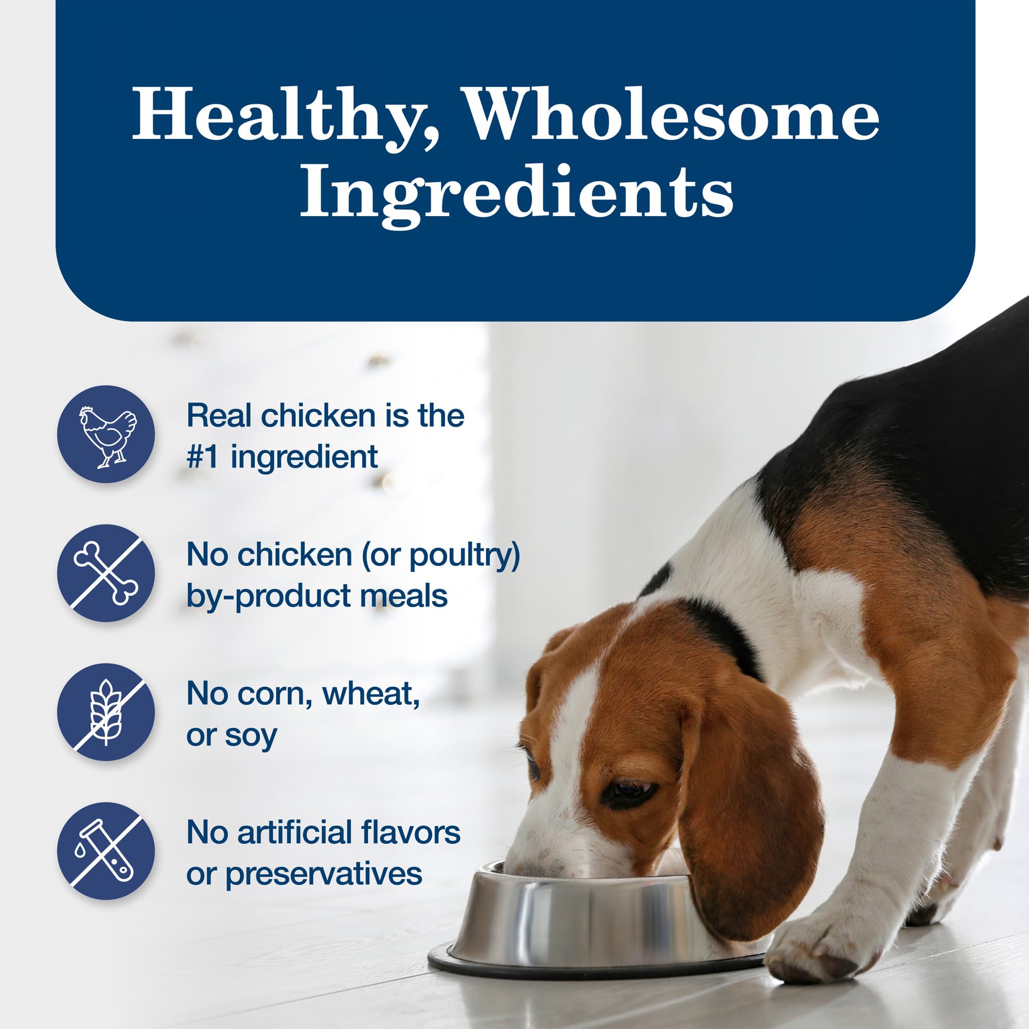 Blue Buffalo Homestyle Recipe Adult Wet Dog Food, Made with Natural Ingredients, Chicken Dinner With Garden Vegetables, 12.5-oz
