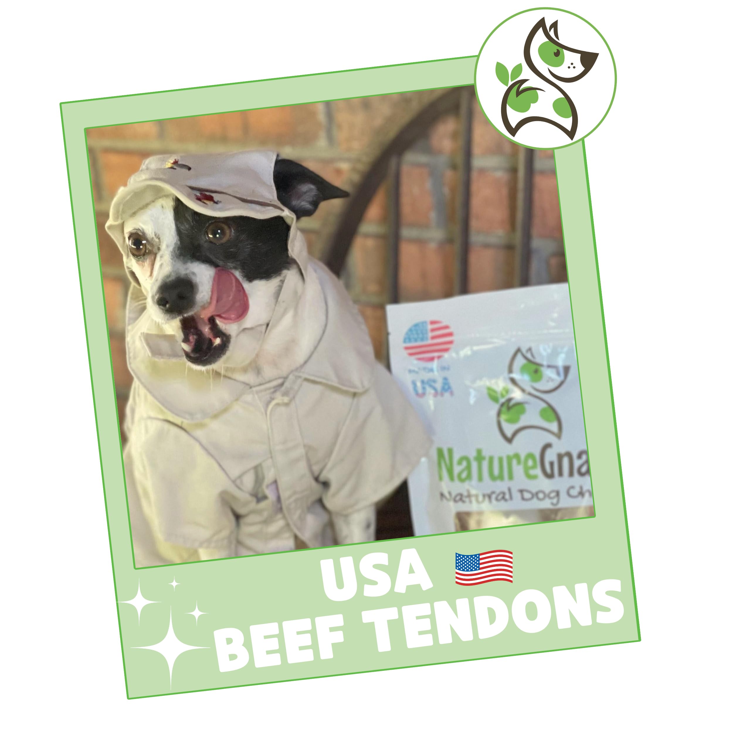 Nature Gnaws USA Beef Tendons for Dogs (8oz) - Mixed Thickness - Long Lasting for Aggressive Chewers - Premium Natural Beef Dog