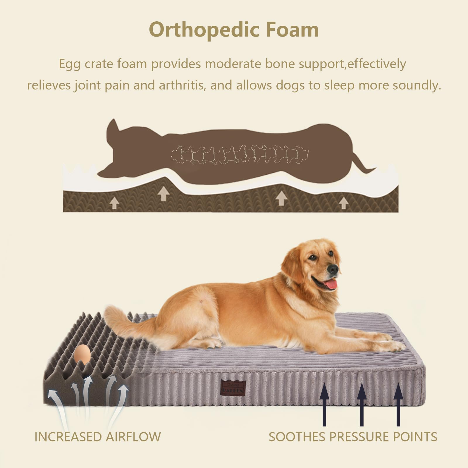 Orthopedic Dog Beds For Xl, Large, Medium, Small Dogs - Soft Plush Washable With Egg Crate Foam, Waterproof With Removable Cover