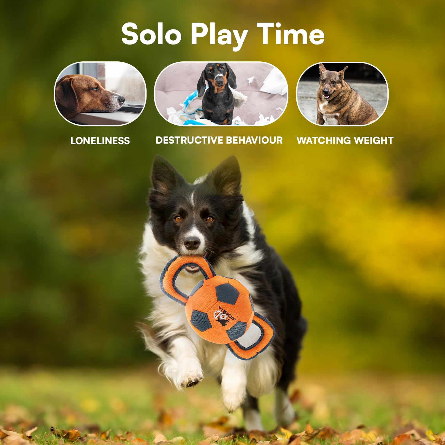 All For Paws Ballistic Handle Ball