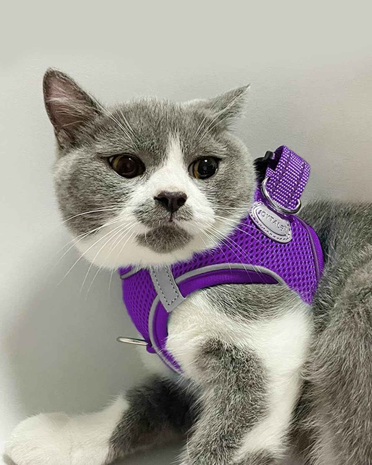 Joytale Small Dog Harness, Breathable Mesh Step-In Vest, Reflective Soft Padded Harnesses For Cats And Puppies Dogs, Purple, Xxx