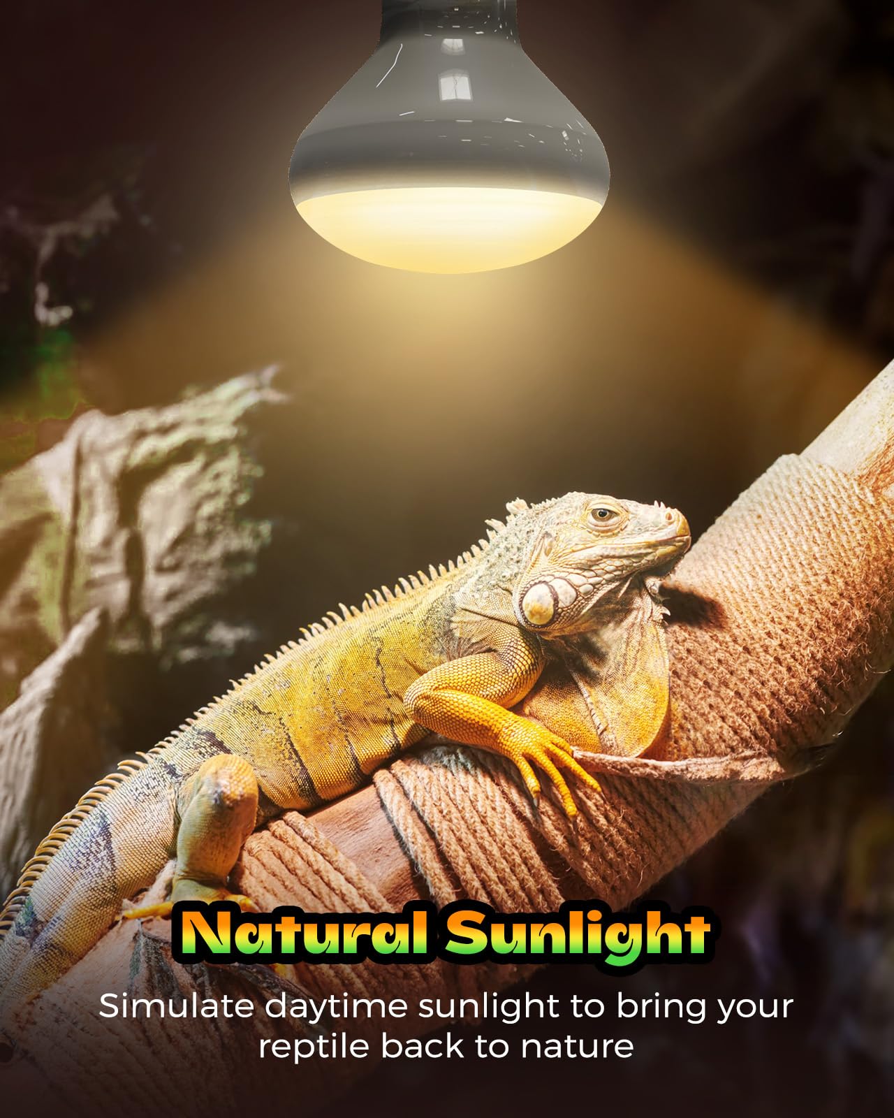 GAJUX Reptile Heat Lamp 2 Pack, 100W Heat Lamp Bulbs for Reptiles, Amphibians Basking Heat Lamp Bulbs, UVA Daylight Basking Ligh
