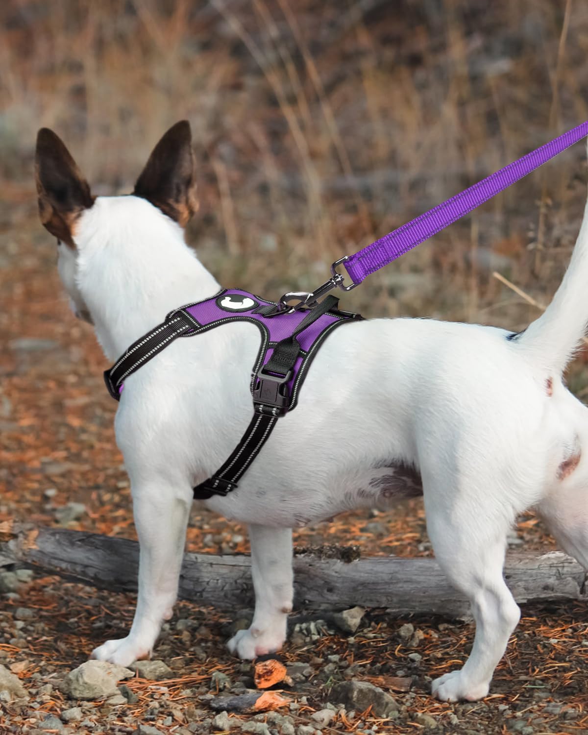 Joytale Double-Sided Reflective Dog Leash, 6 Ft/5 Ft/4 Ft, Padded Handle Nylon Dogs Leashes For Medium & Large Dogs Walking, Pur