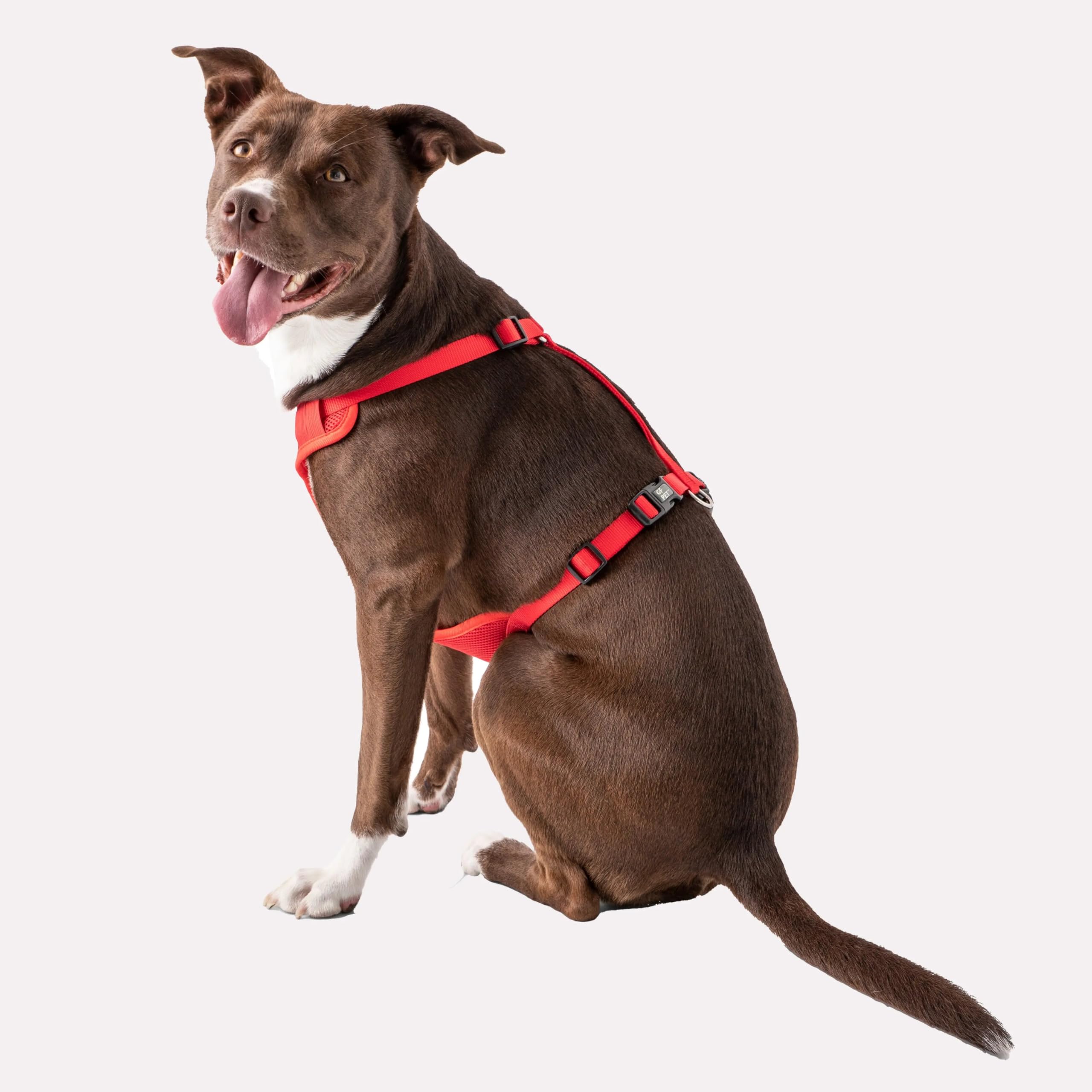 Gf Pet Travel Harness - Red - Xl