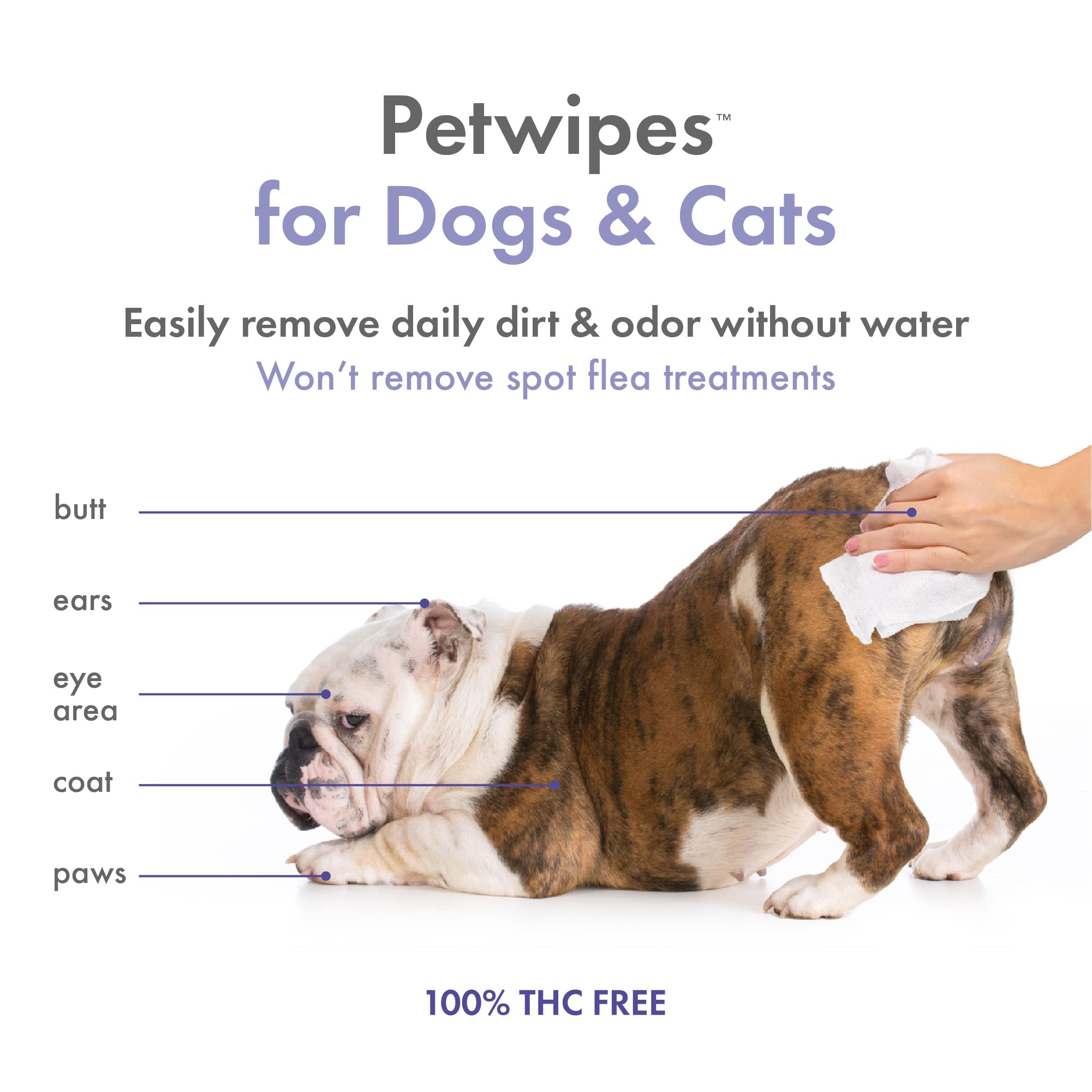 Petkin Hemp Pet Wipes For Dogs And Cats - With Hemp Oil & Calming Lavender Scent, 200 Count - Soothes, Calms & Conditions - Wipe