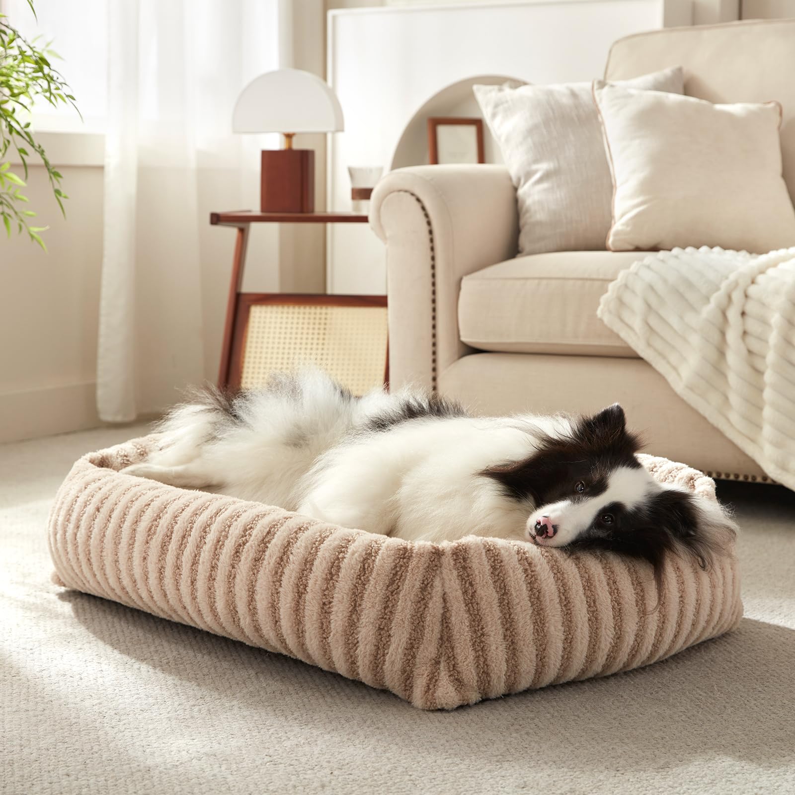 MIXJOY Dog Bed Medium Size Dog, Washable Medium Dogs Bed with Removable Cover, Soft Rectangle Doggy Ded Fluffy Plush Faux Fur Pe