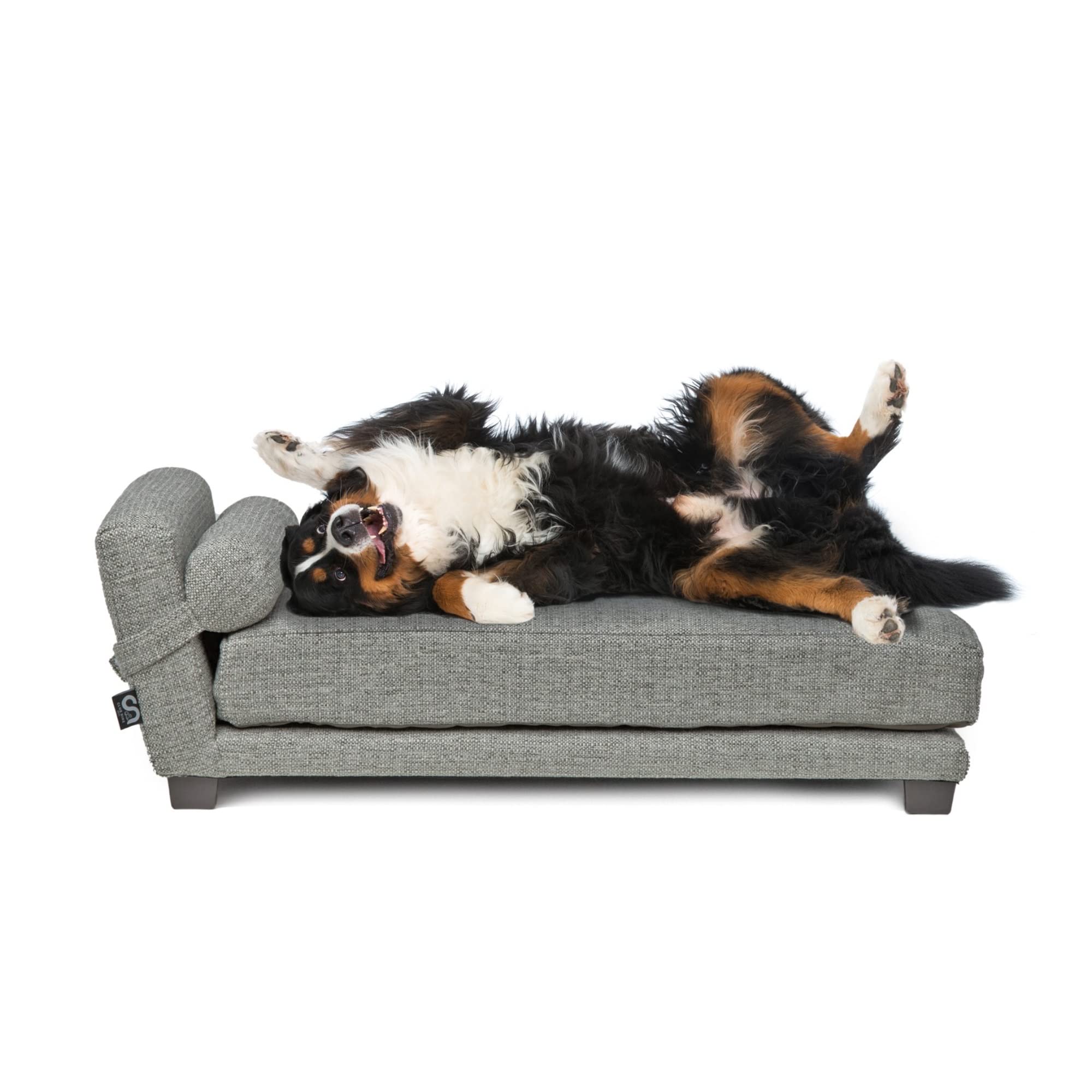 Club Nine Pets Bada Orthopedic Dog Bed, Medium, Metal