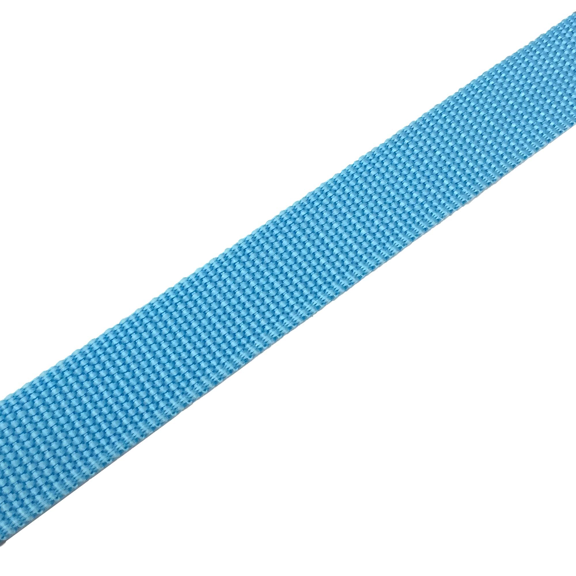 Taian 4 Ft Strong Dog Leash, Nylon Dog Leashes For Small Medium Large Dogs Blue