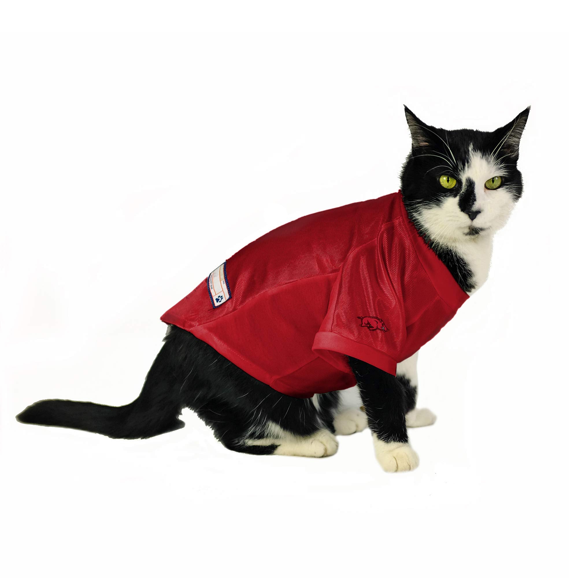 Arkansas Razorbacks Pet Jersey Stretch Size S - Special Order