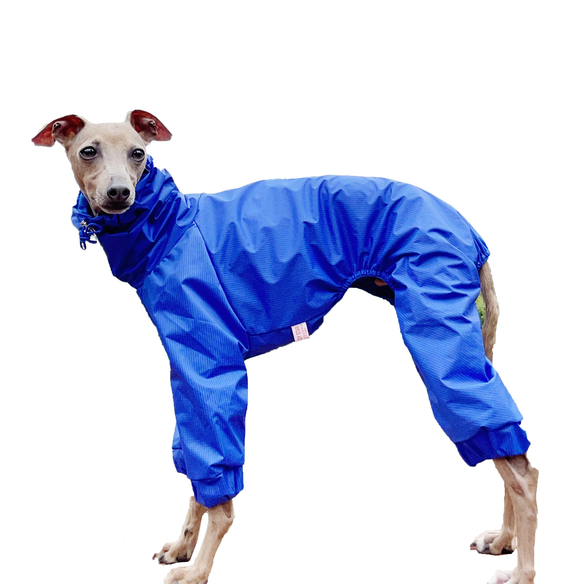 D Doggy Star Italian Greyhound Raincoat Waterproof Jacket Windbreaker Clothes Whippet For Dog (L,Raincoat Blue)