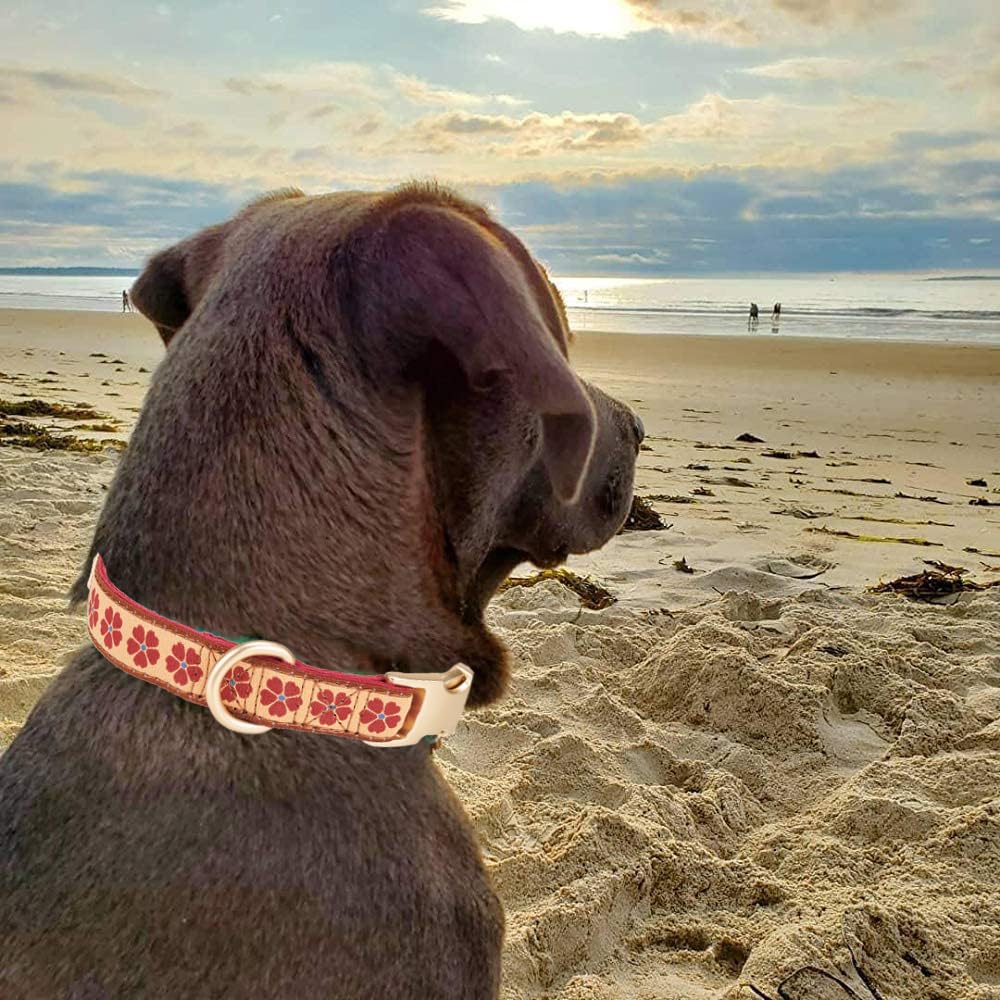 YUDOTE Woven Dog Collar with Metal Buckle Adjustable Jacquard Retro Dog Collars for Small Medium Large Dogs(Brick Red,L)