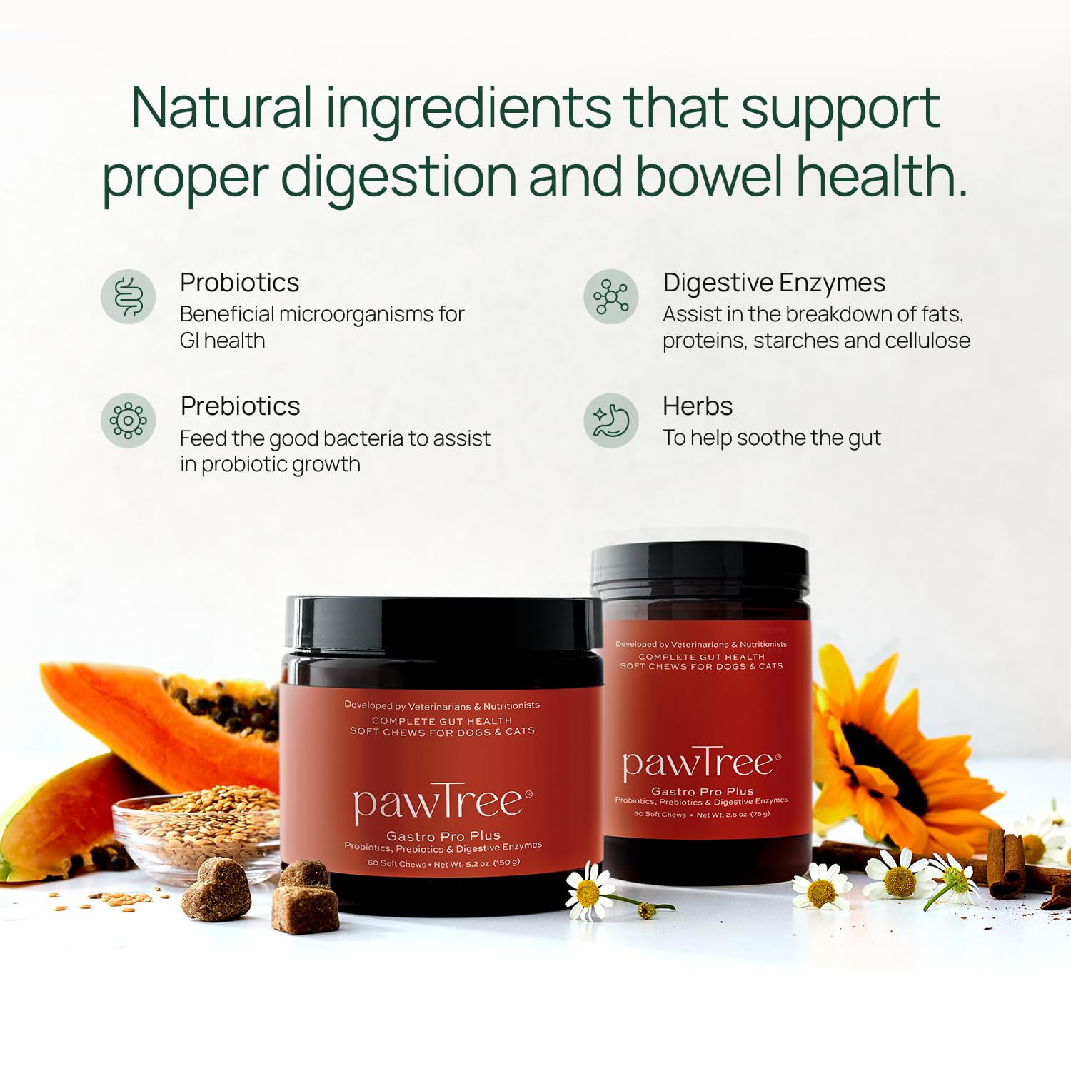 pawTree Gastro Pro Plus® for Dogs and Cats - Probiotics & Digestive Enzymes, 30 ct, Red - Ideal for Sensitive Stomachs & Digestive Issues