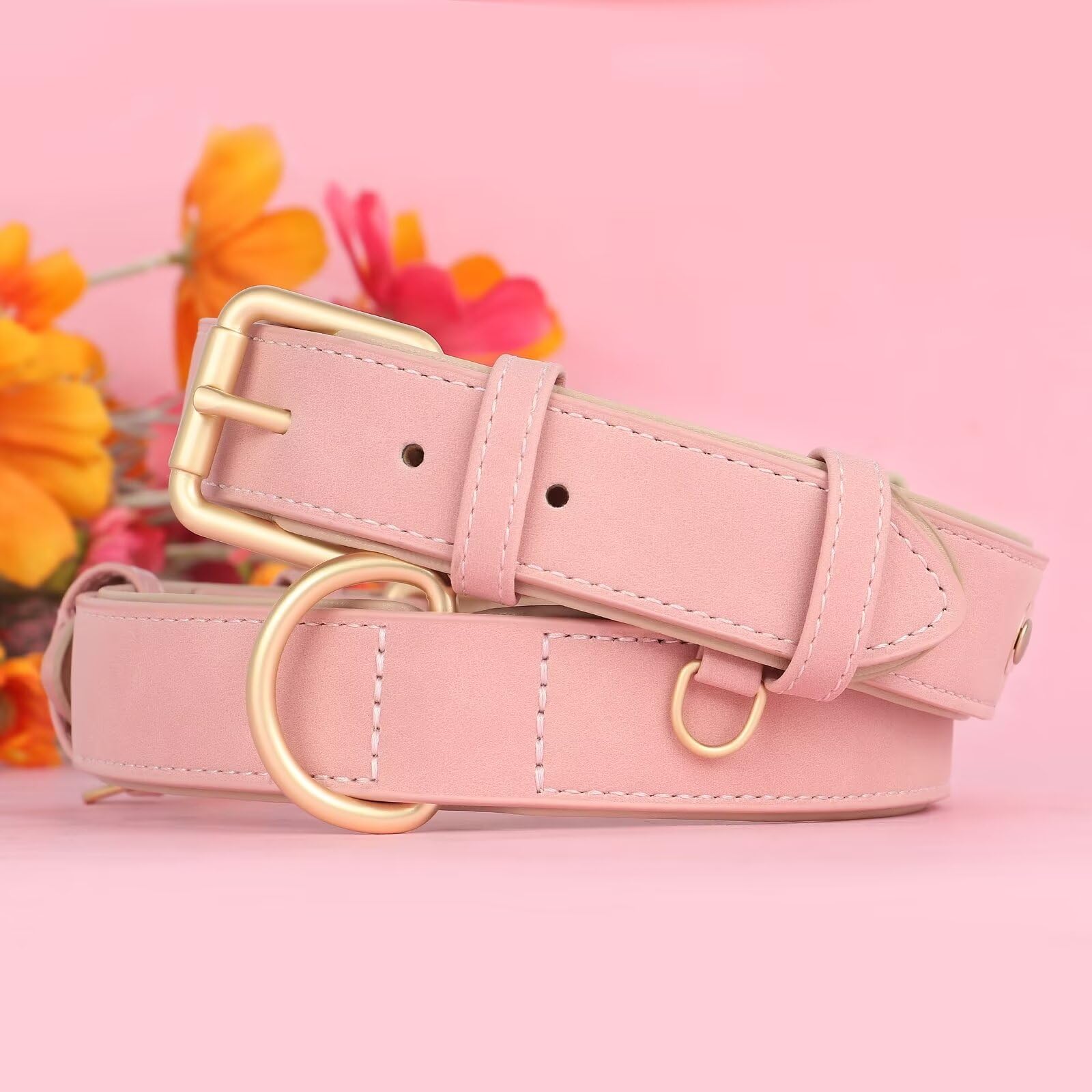 Didog Soft Padded Leather Dog Collar, Adjustable Pink Dog Collars For Small Dogs With Heavy Duty Metal Buckle And D Ring Pink,S