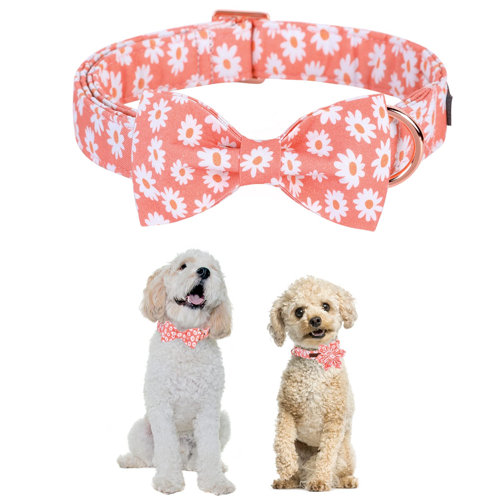 Unique Style Paws Dog Collar With Bow Tie Pink Daisy Summer Dog Collar For Small Medium Large Dogs With Adjustable Metal Buckle -Xs