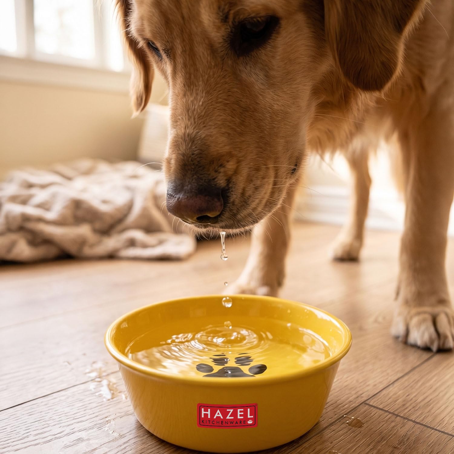 Hazel Yellow Pet Water Bowl With Paw Print Design For Puppies, Kittens & Small Pets