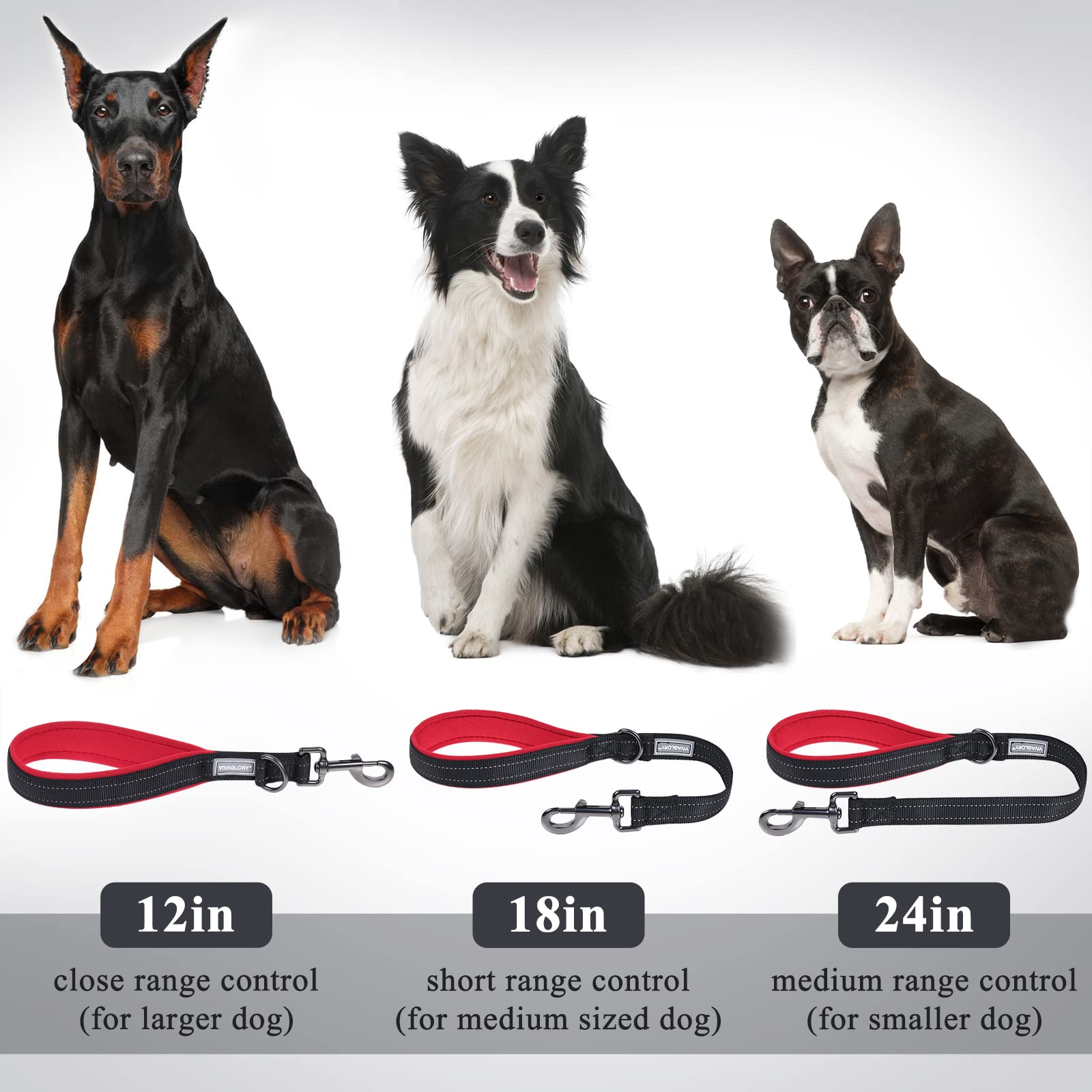 Vivaglory Short Dog Leash For Medium & Large Dogs, 18Inch, Black/Red