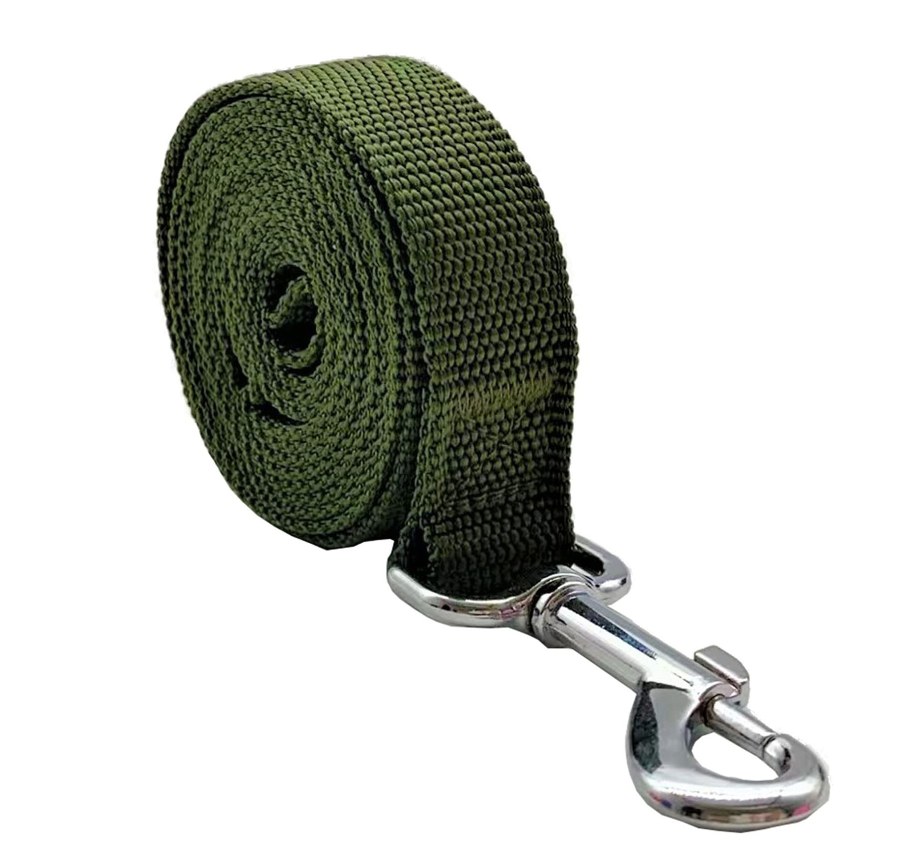 Nylon Dog Leash 12 Feet Long, Walking Training Dog Leashes For Medium Large Dogs(1'' X 12 Ft, Green)