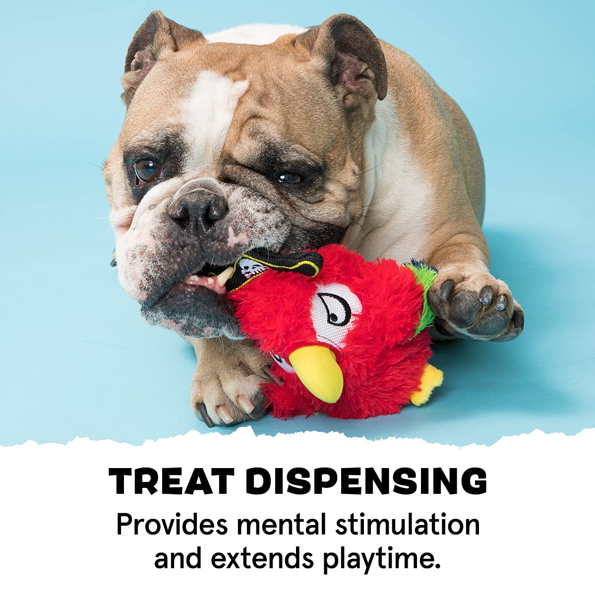 Barkbox Super Chewer Tough Dog Chew Toys For Aggressive Chewers, Plush 2 Toys In 1 (Parrot - Large)