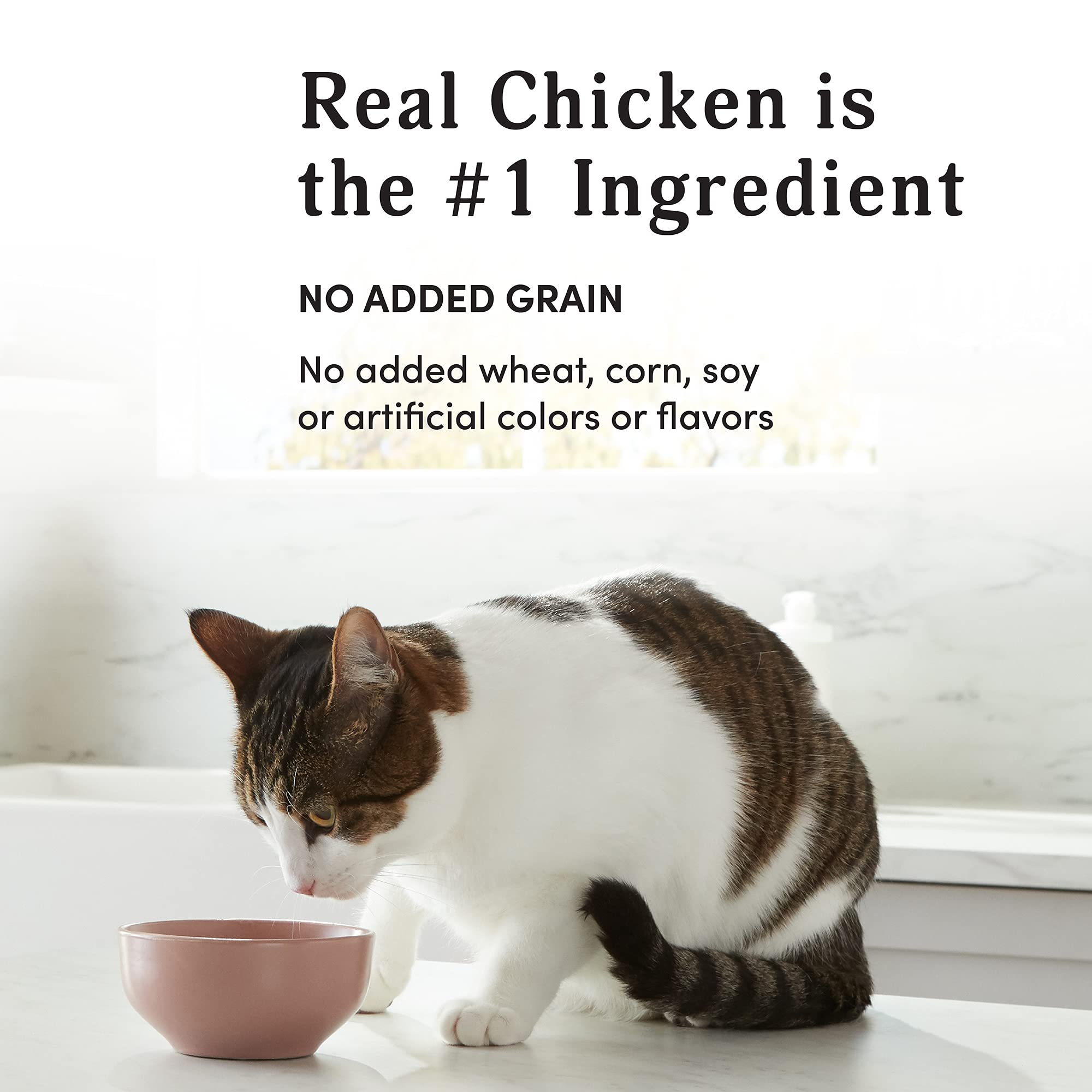 Kitzy Wet Cat Food for Kittens, Chicken Cuts in Gravy, Grain Free, 3oz (24 Pack)