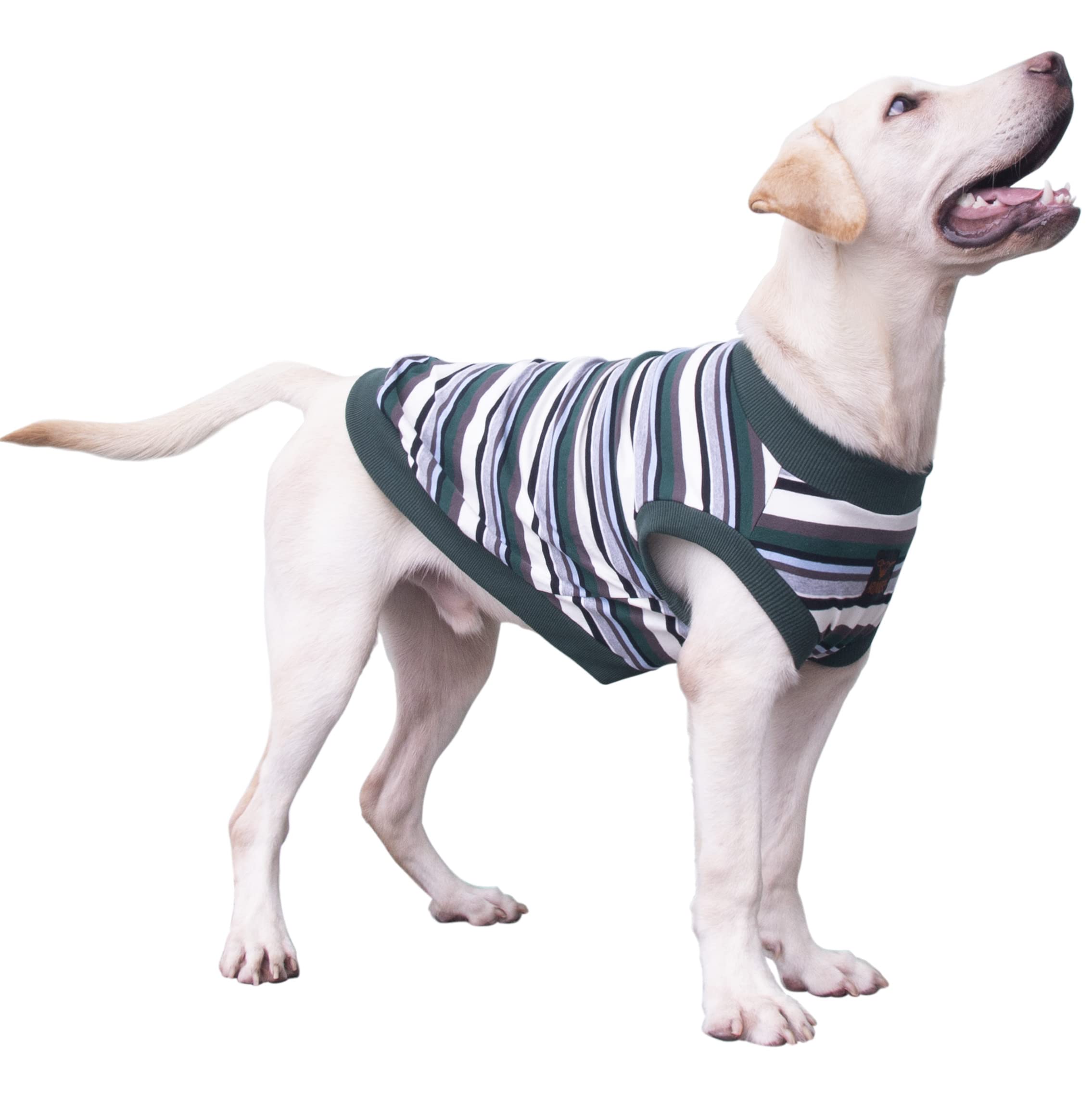 Arunners Extra Large Dog T Shirts Clothes Sleeveless Tank Top Vest For Labrador Rottweiler Great Dane, Green, 6X-Large