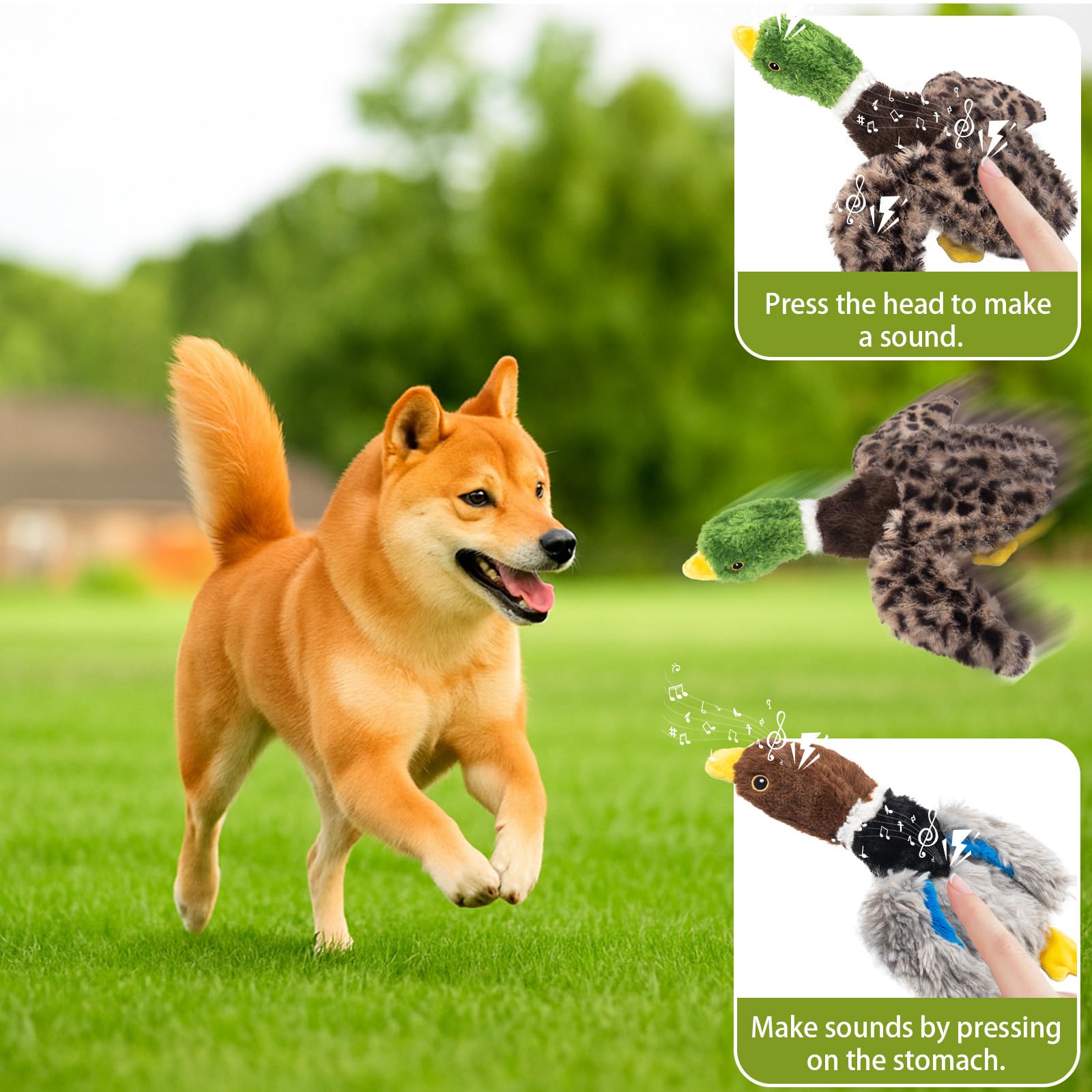 Calibonbon 2-Pack Stuffing-Free Squeaky Dog Toys for Small & Medium Dogs - Hollow Body Plush Ducks with 6 Total Squeakers | Dura