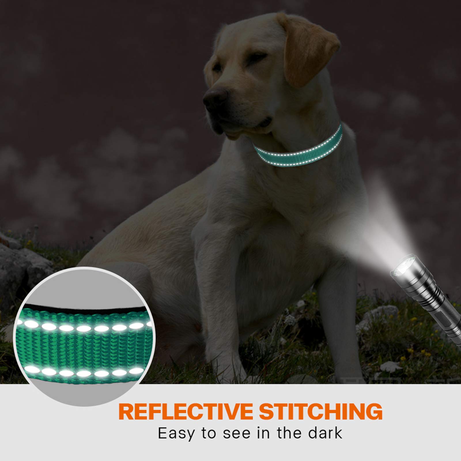 Taglory Reflective Dog Collar With Safety Locking Buckle, Adjustable Nylon Pet Collars For Large Dogs Female Male, Turquoise, L