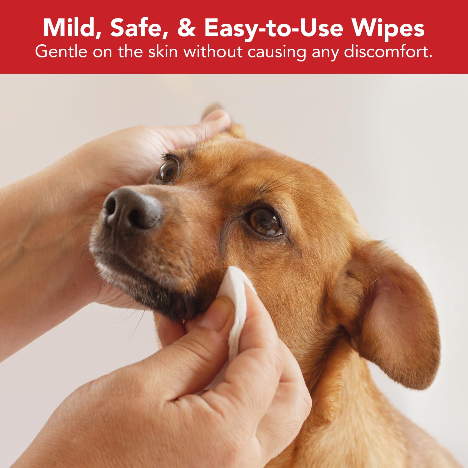 Noveha Pet Wipes - Formulated Pet Wipes - For Facial And Finger Folds, Underarms - 3'' X 2'' Size (150 Counts)