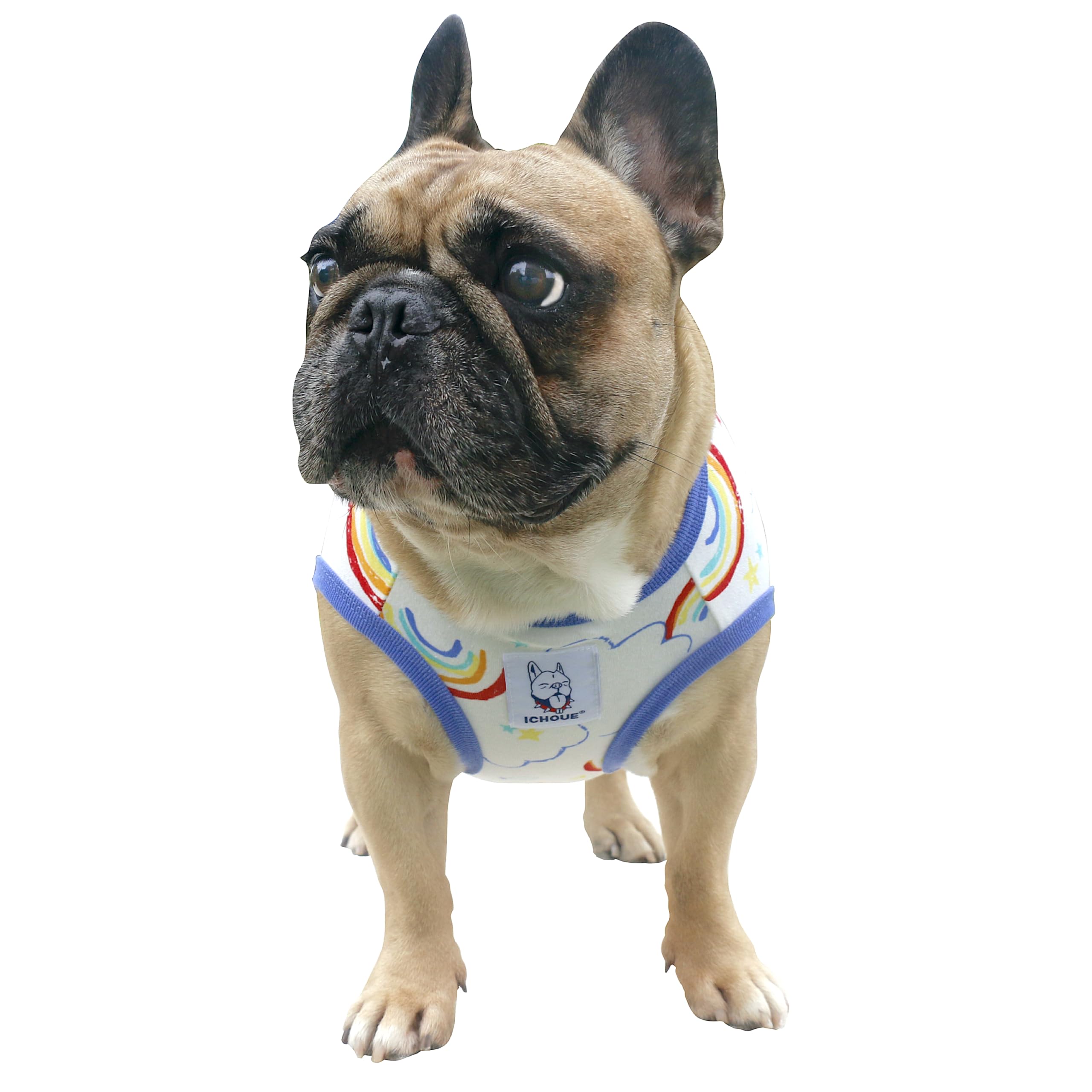 iChoue 100% Breathable Cotton English Bulldog Halloween Cartoon T Shirts Cute Clothes for Medium Large Dogs Vest Tank Tops Terri
