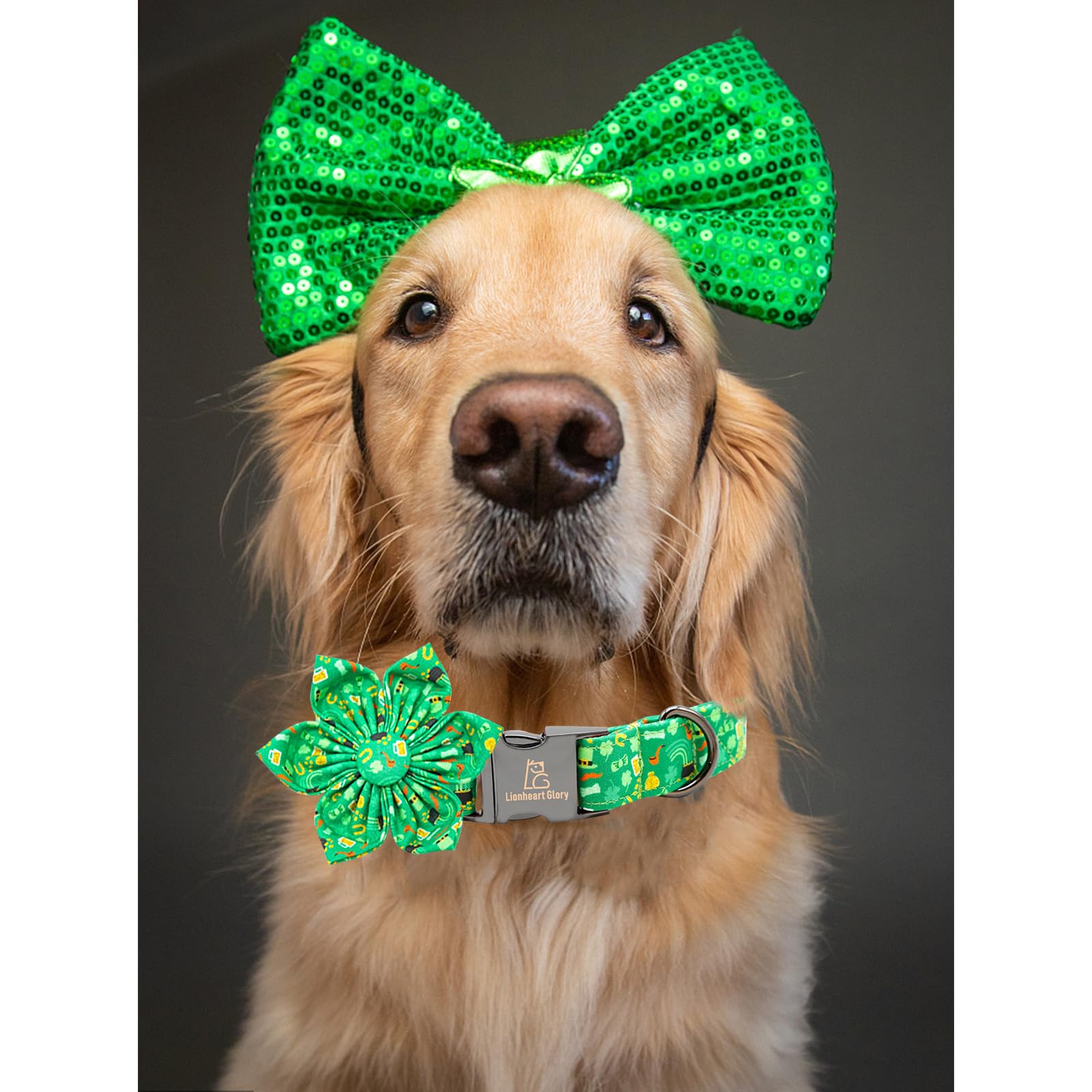 Lionheart Glory St. Patrick'S Day Collar With Flower Bows For X-Large Dogs, Green Lucky Clover Shamrock Collar