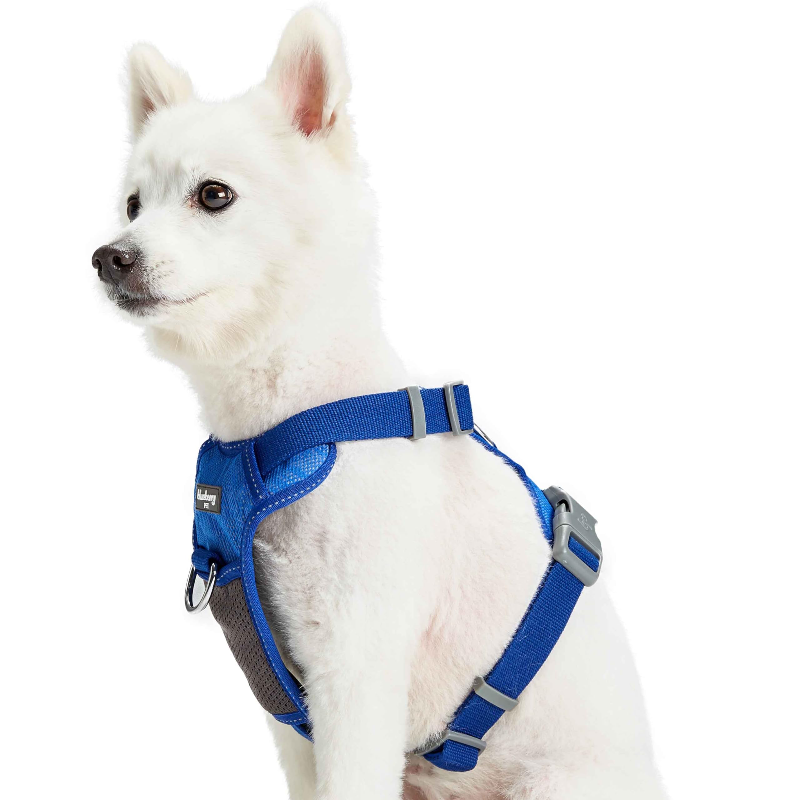 Blueberry Soft & Comfy 3M Reflective Dog Vest | Mesh Padded No Pull Harness | Multi-Colored Stripe Blue - Adjustable Reflective 