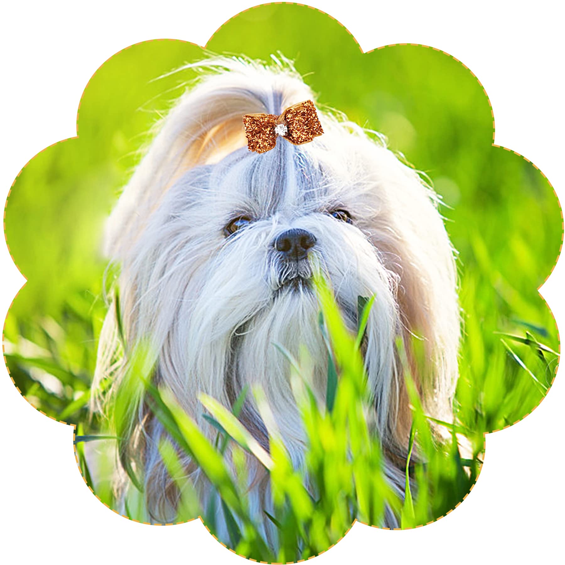 Pet Show Mixed Styles Pet Cat Puppy Topknot Small Dog Hair Bows With Rubber Bands Grooming Accessories Orange Pack Of 20