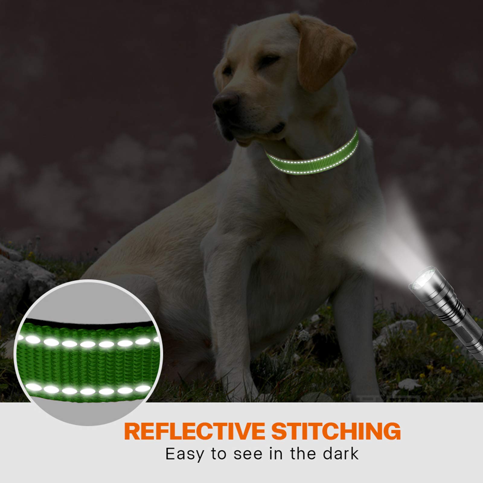 Taglory Reflective Dog Collar With Safety Locking Buckle, Adjustable Nylon Pet Collars For Large Dogs Female Male, Green, L